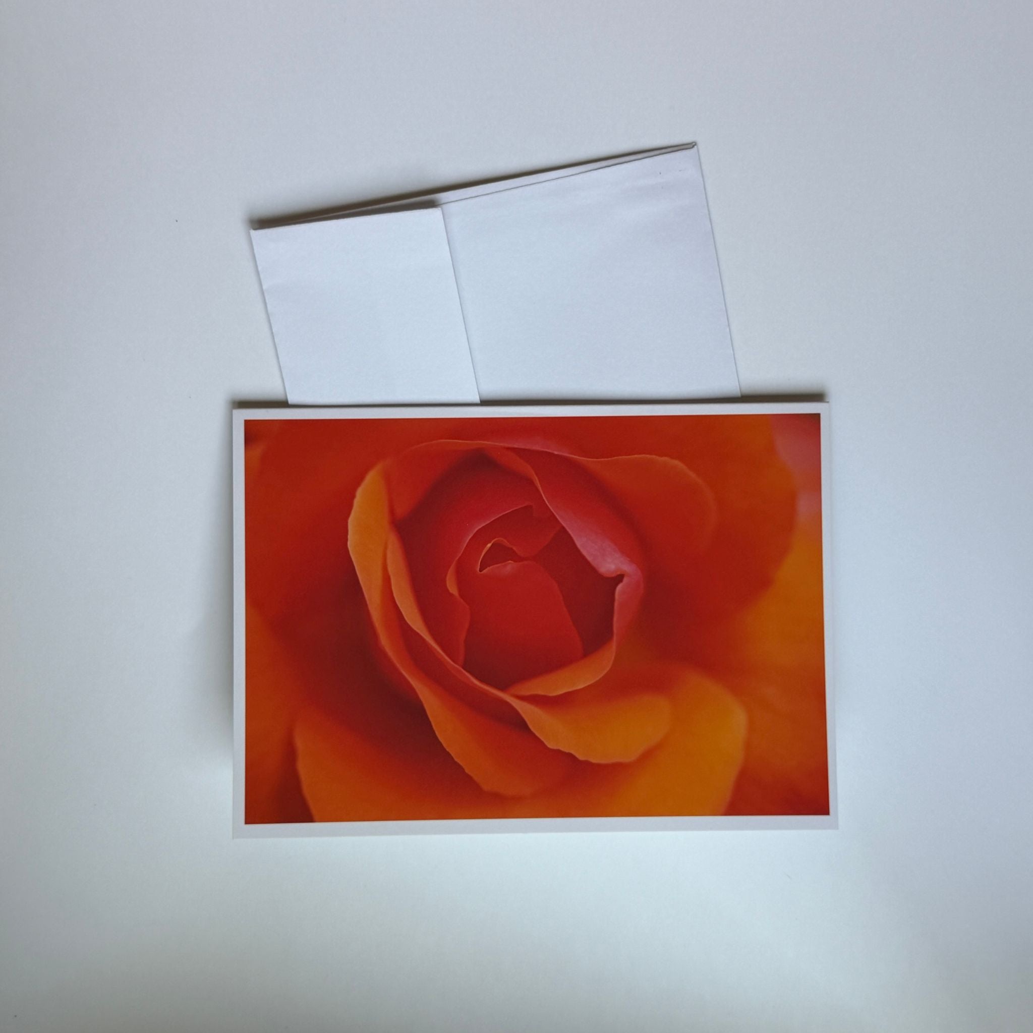 Copenhagen Orange Rose Greeting Cards (Set of 5)