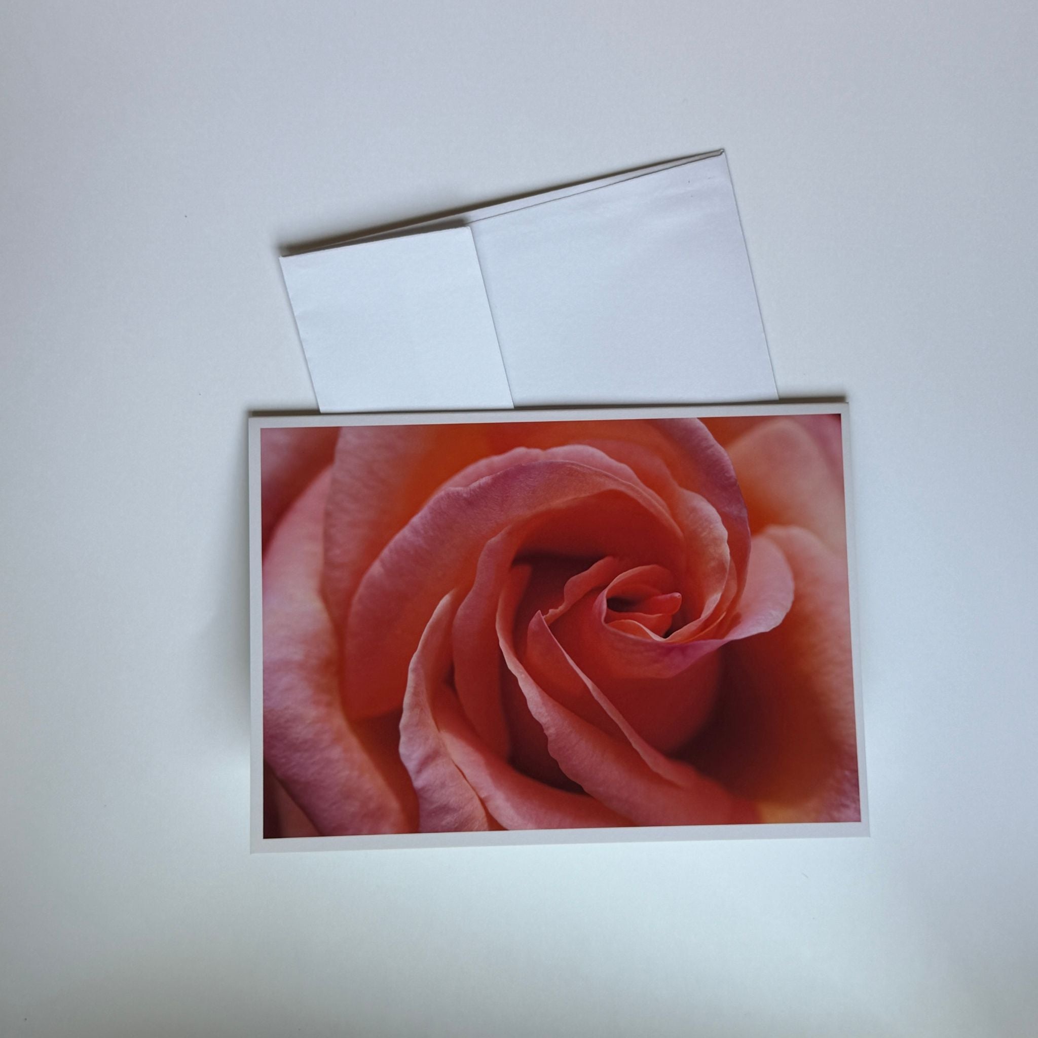 Copenhagen Pink Rose Greeting Cards (Set of 5)