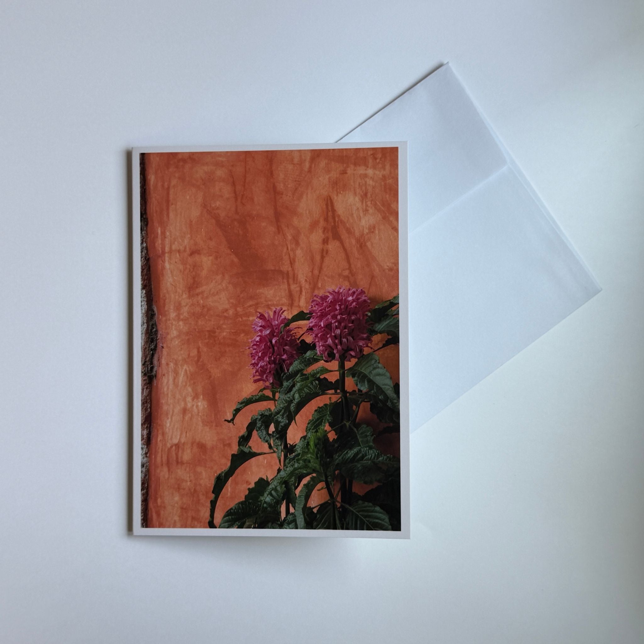 Pink Justicia Flower Greeting Cards (Set of 5)