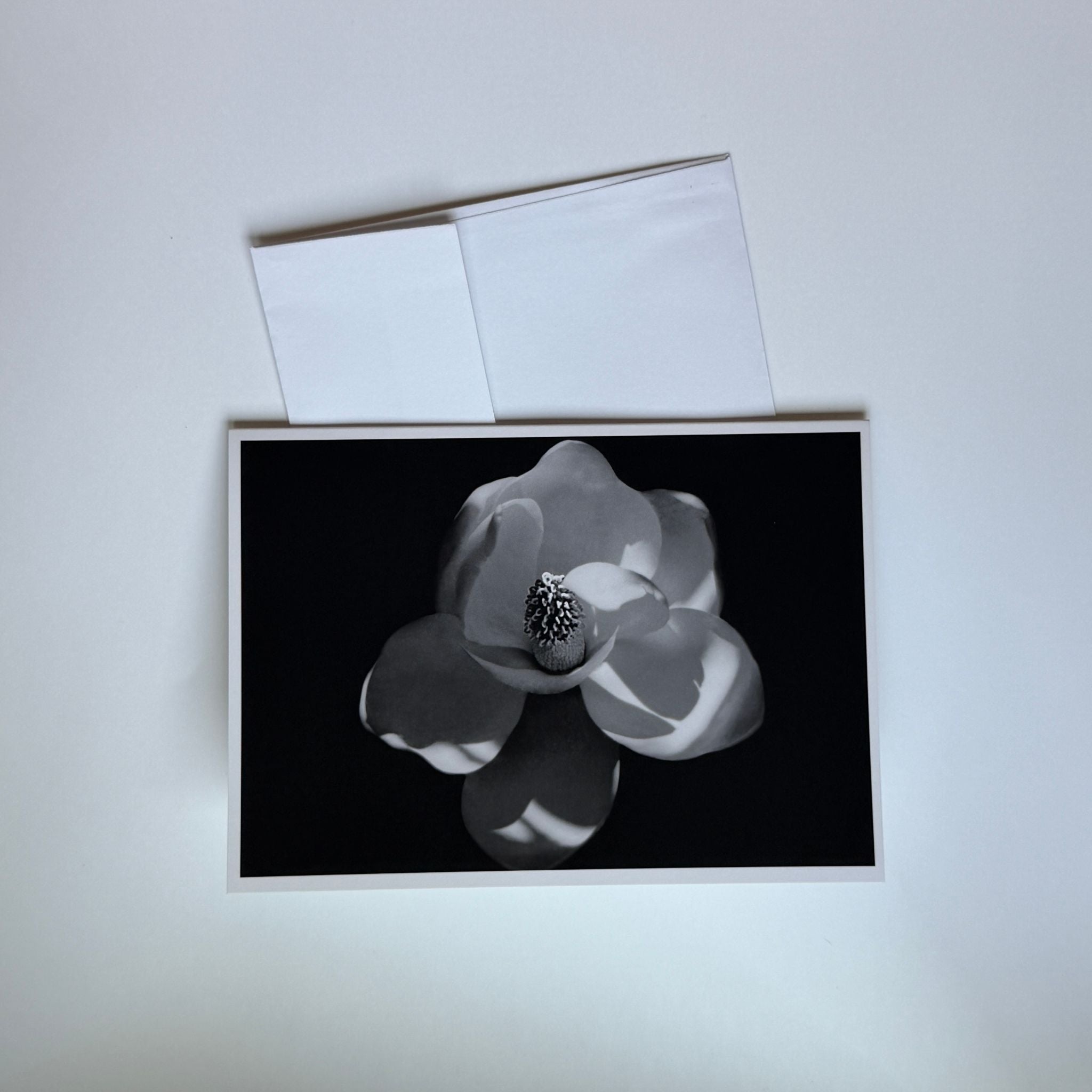 Magnolia Flower Greeting Cards (Set of 5)