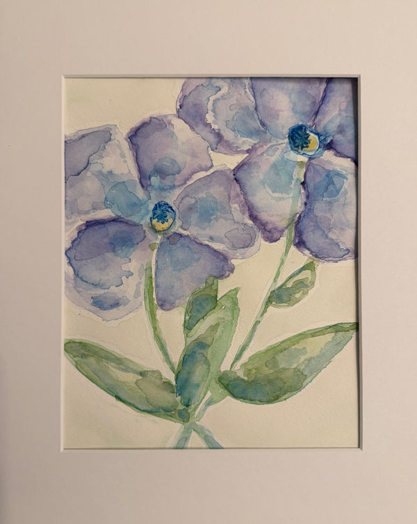 Periwinkle Watercolor Study