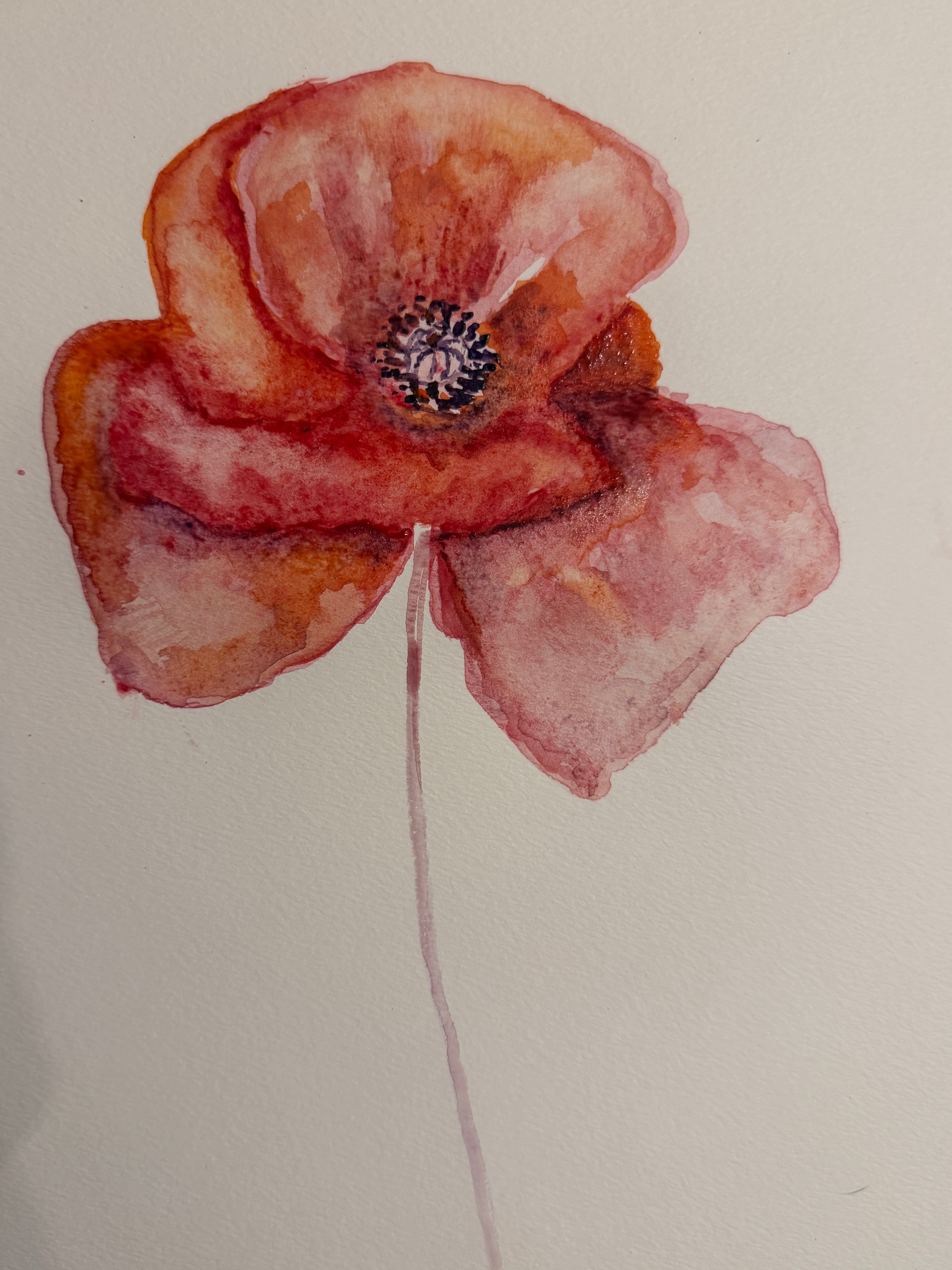 Poppy Watercolor Study