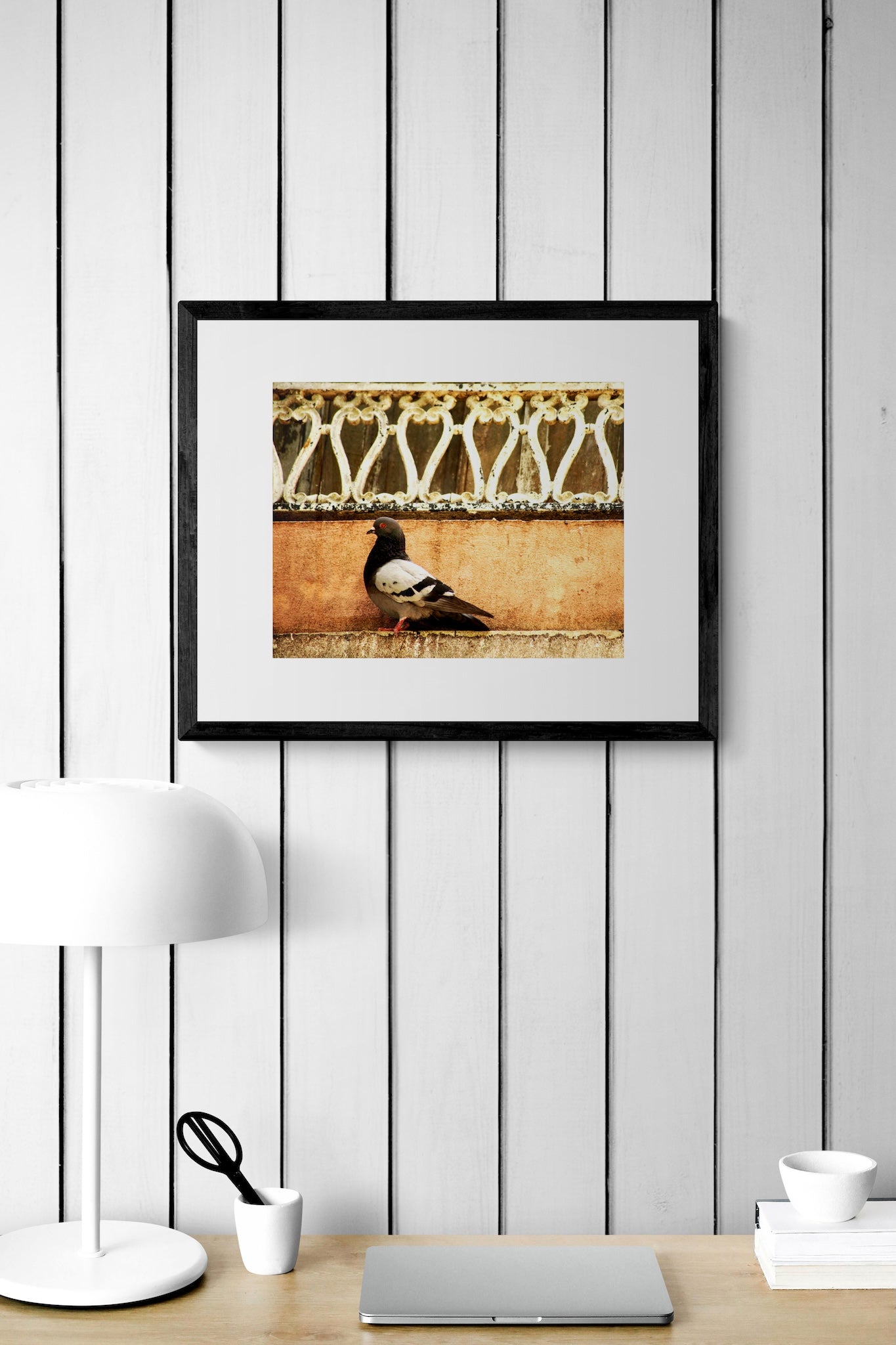Old San Juan Pigeon Wall Art: Rustic Puerto Rico Architecture & Street Scene Print