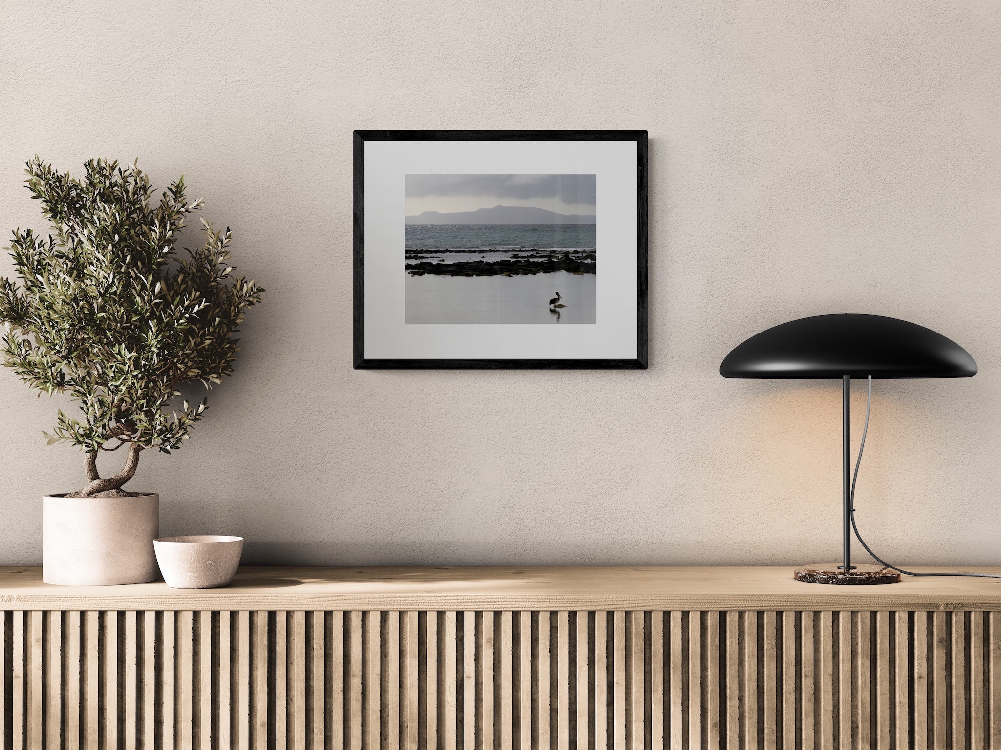 Galapagos Pelican Photography Print: Finch Bay Nature Wall Art, Matted Wildlife Photo Decor