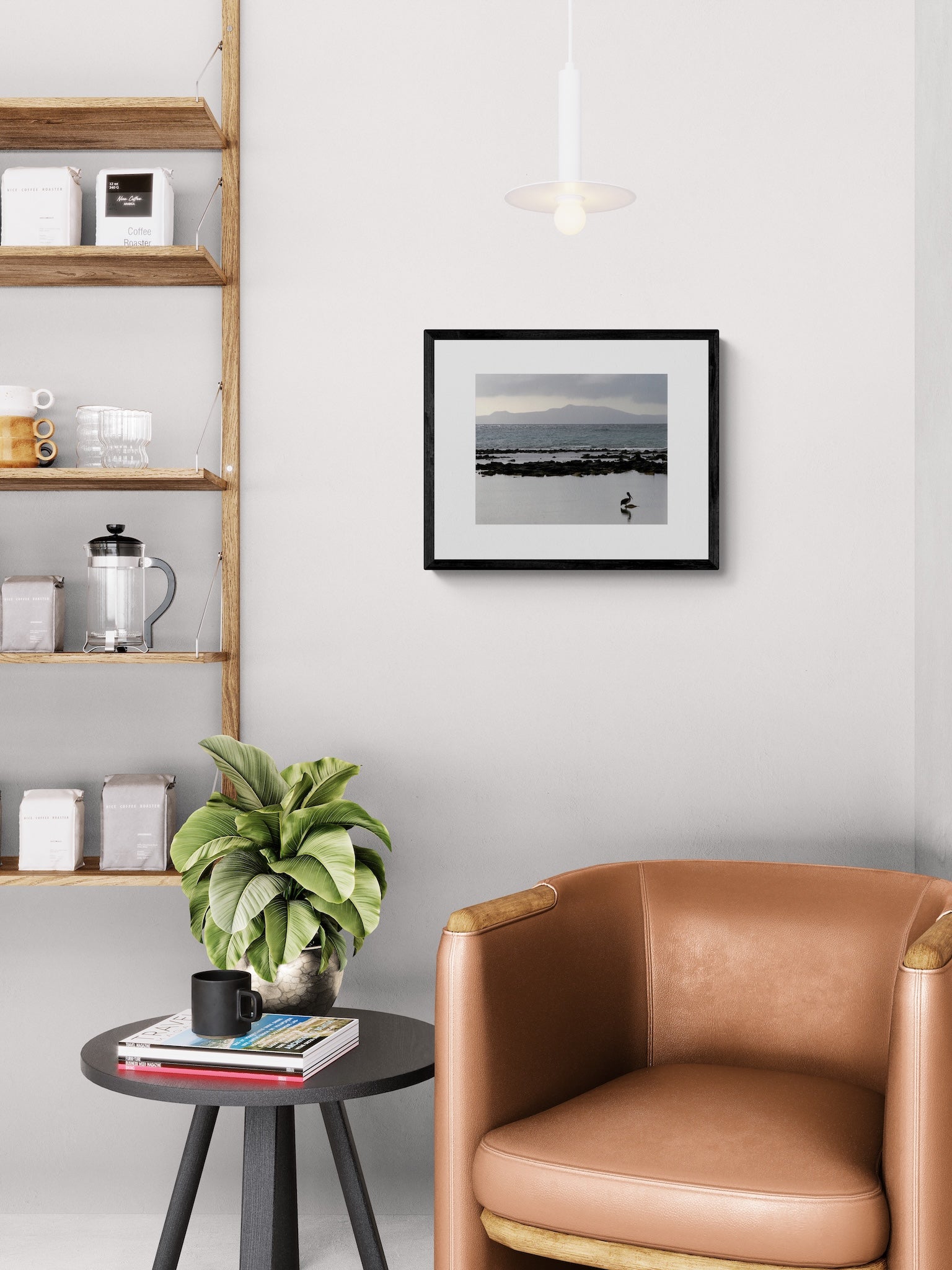 Galapagos Pelican Photography Print: Finch Bay Nature Wall Art, Matted Wildlife Photo Decor