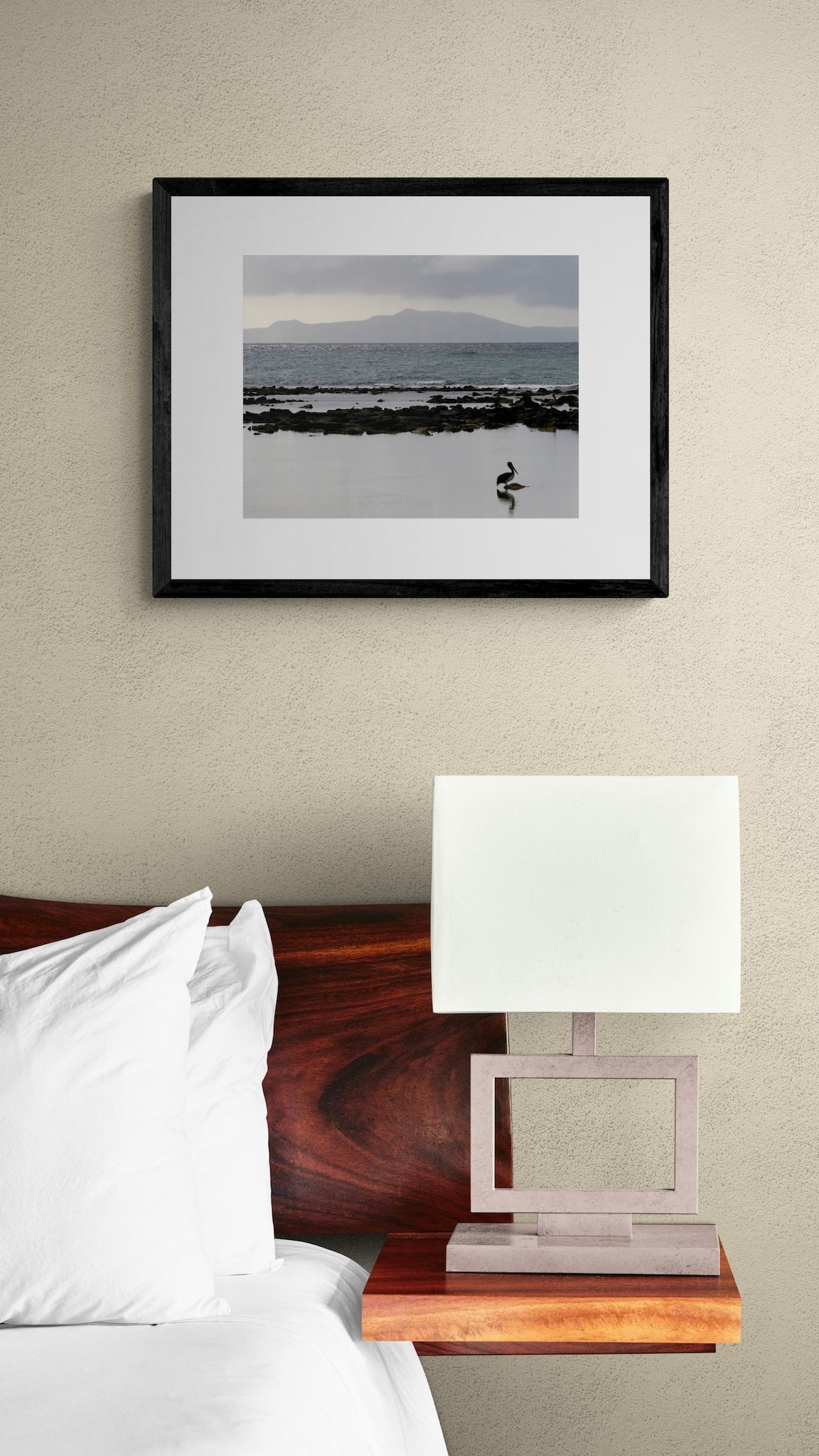 Galapagos Pelican Photography Print: Finch Bay Nature Wall Art, Matted Wildlife Photo Decor