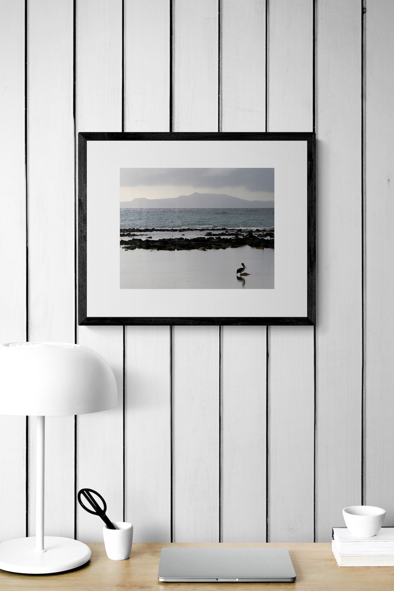 Galapagos Pelican Photography Print: Finch Bay Nature Wall Art, Matted Wildlife Photo Decor