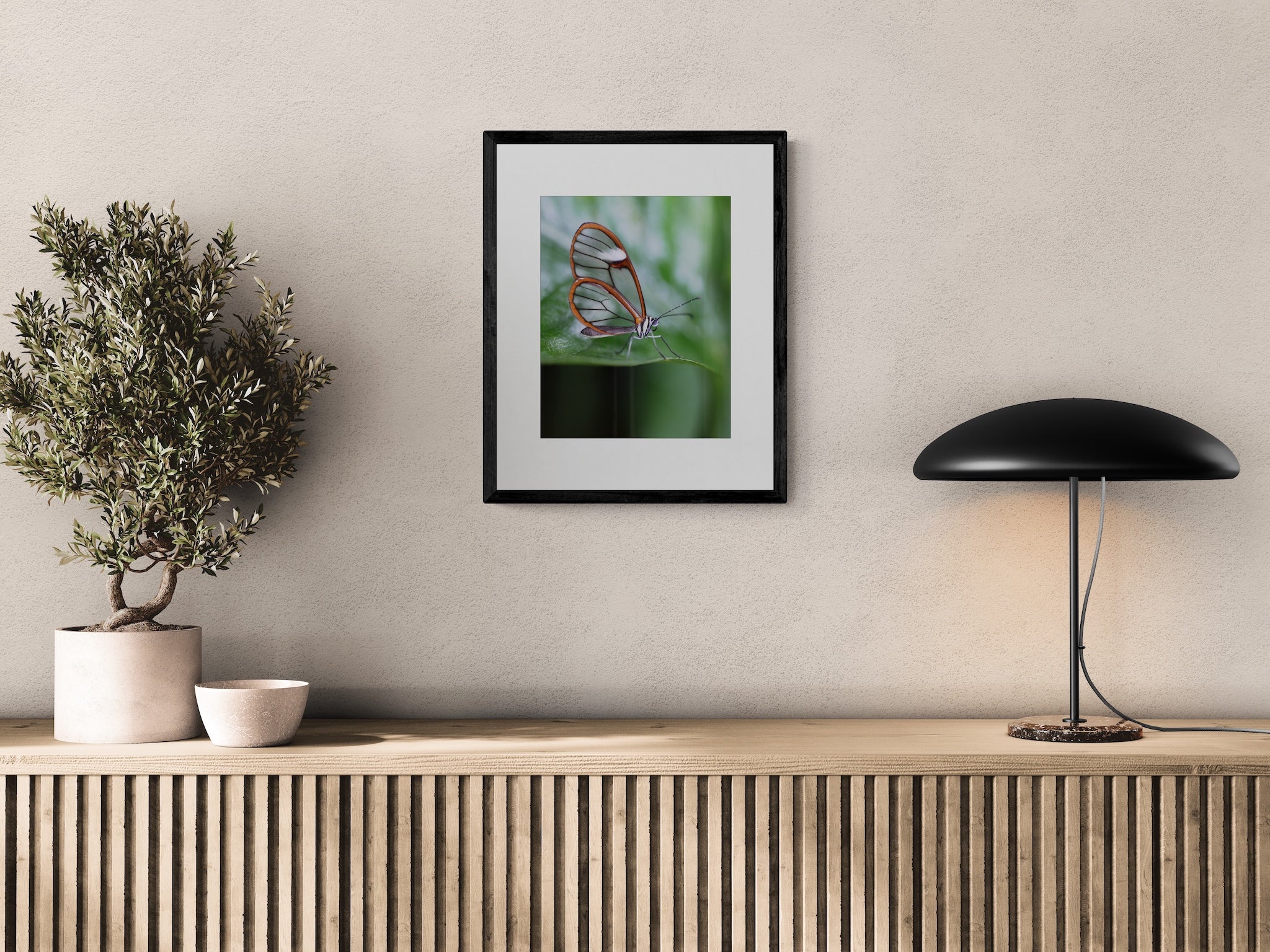 Glasswing Butterfly Wall Art: Copenhagen Conservatory Botanical Photography Print