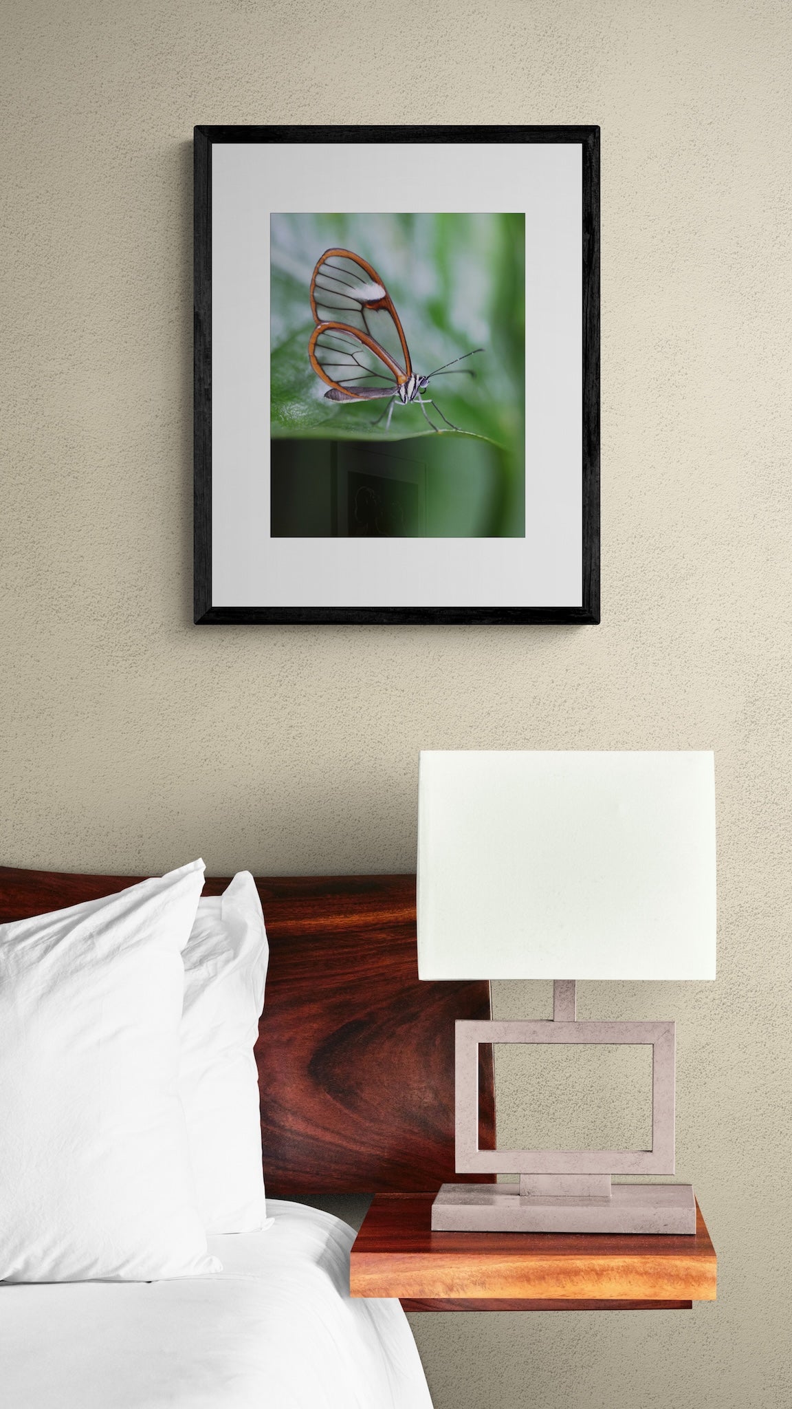 Glasswing Butterfly Wall Art: Copenhagen Conservatory Botanical Photography Print