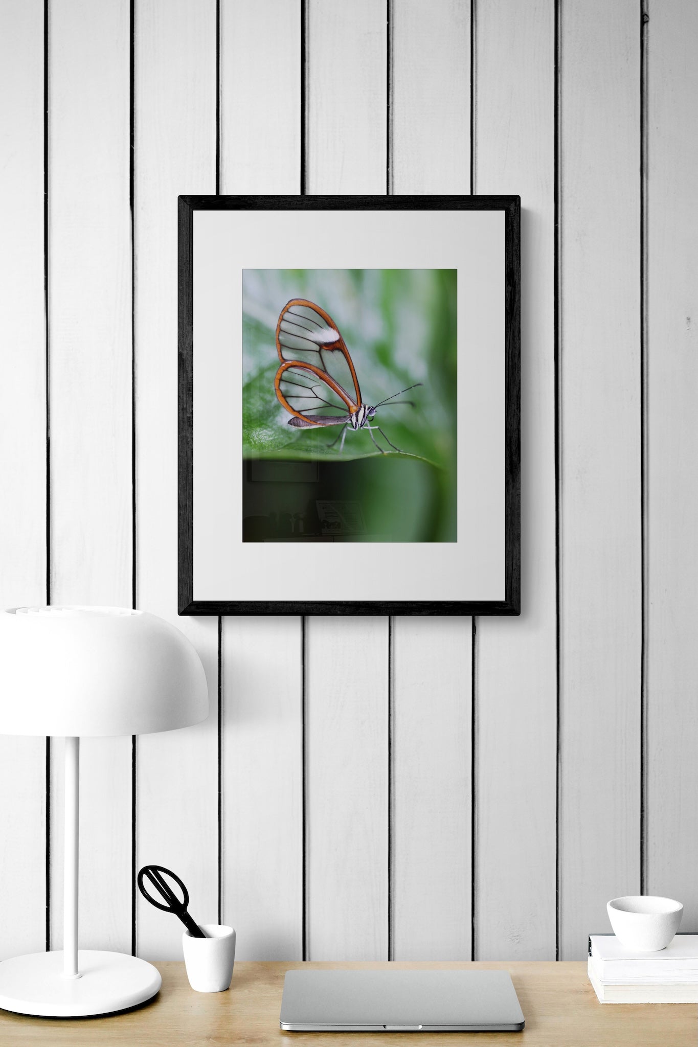 Glasswing Butterfly Wall Art: Copenhagen Conservatory Botanical Photography Print