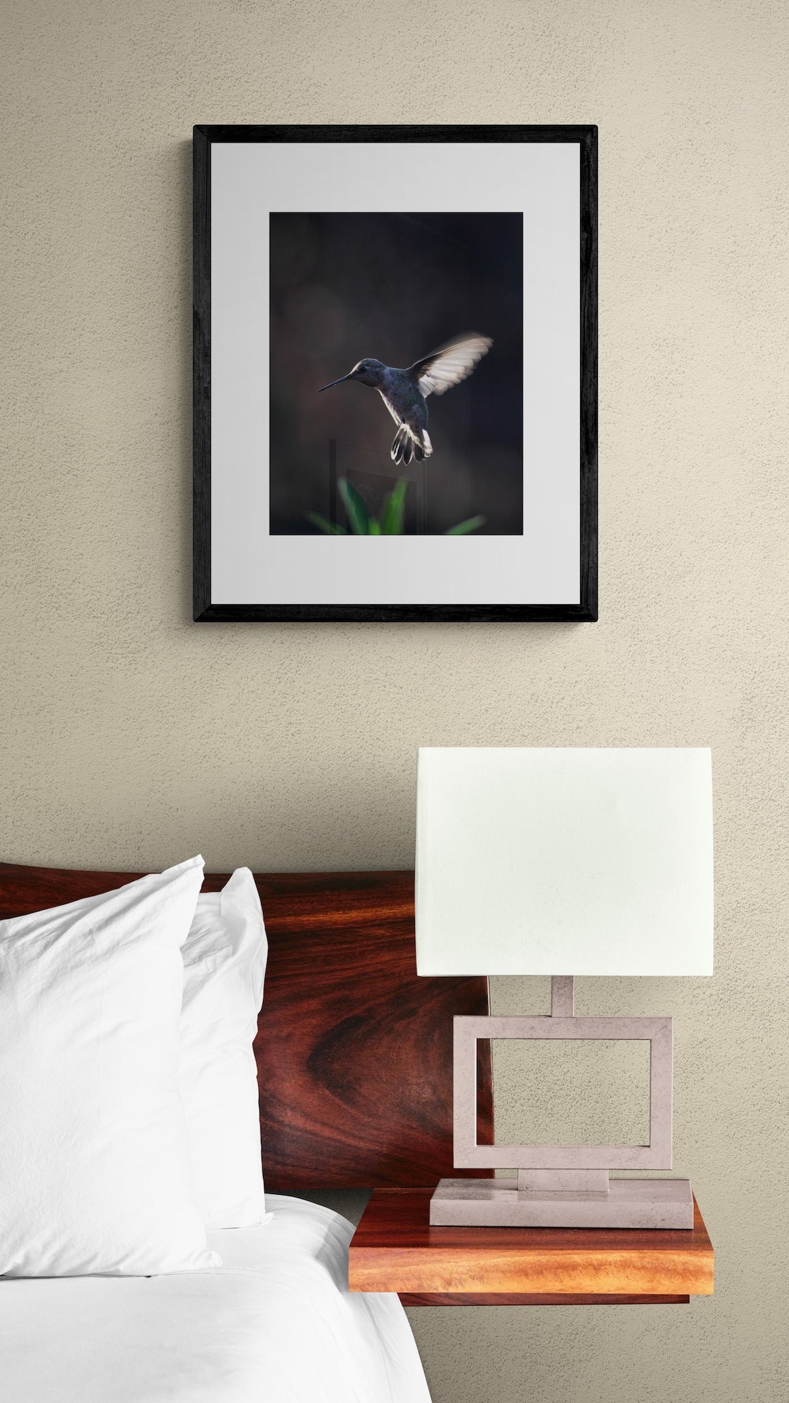 California Hummingbird Wall Art: Moody Nature Photography & Wildlife Print