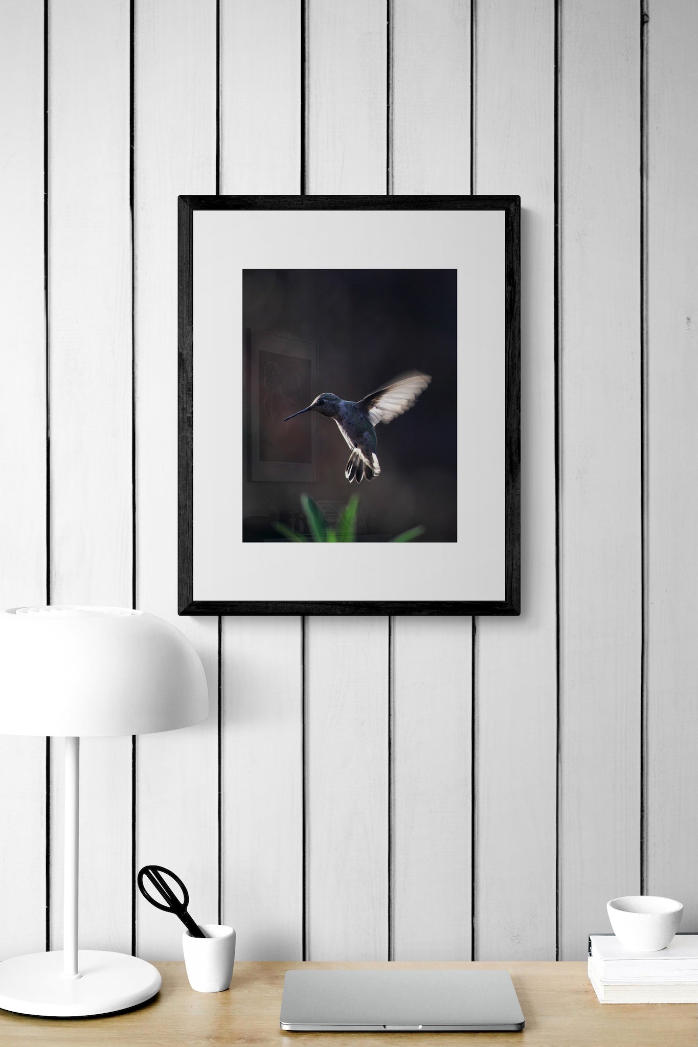 California Hummingbird Wall Art: Moody Nature Photography & Wildlife Print