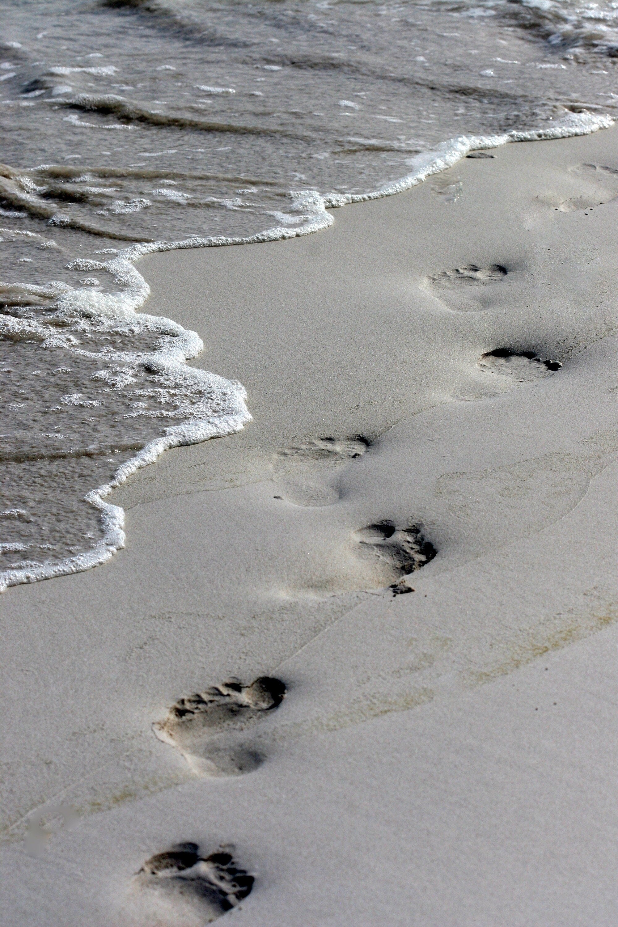 Footprints in Sand Photography Print: Galapagos Islands Beach Decor, Matted Ocean Wall Art Decor