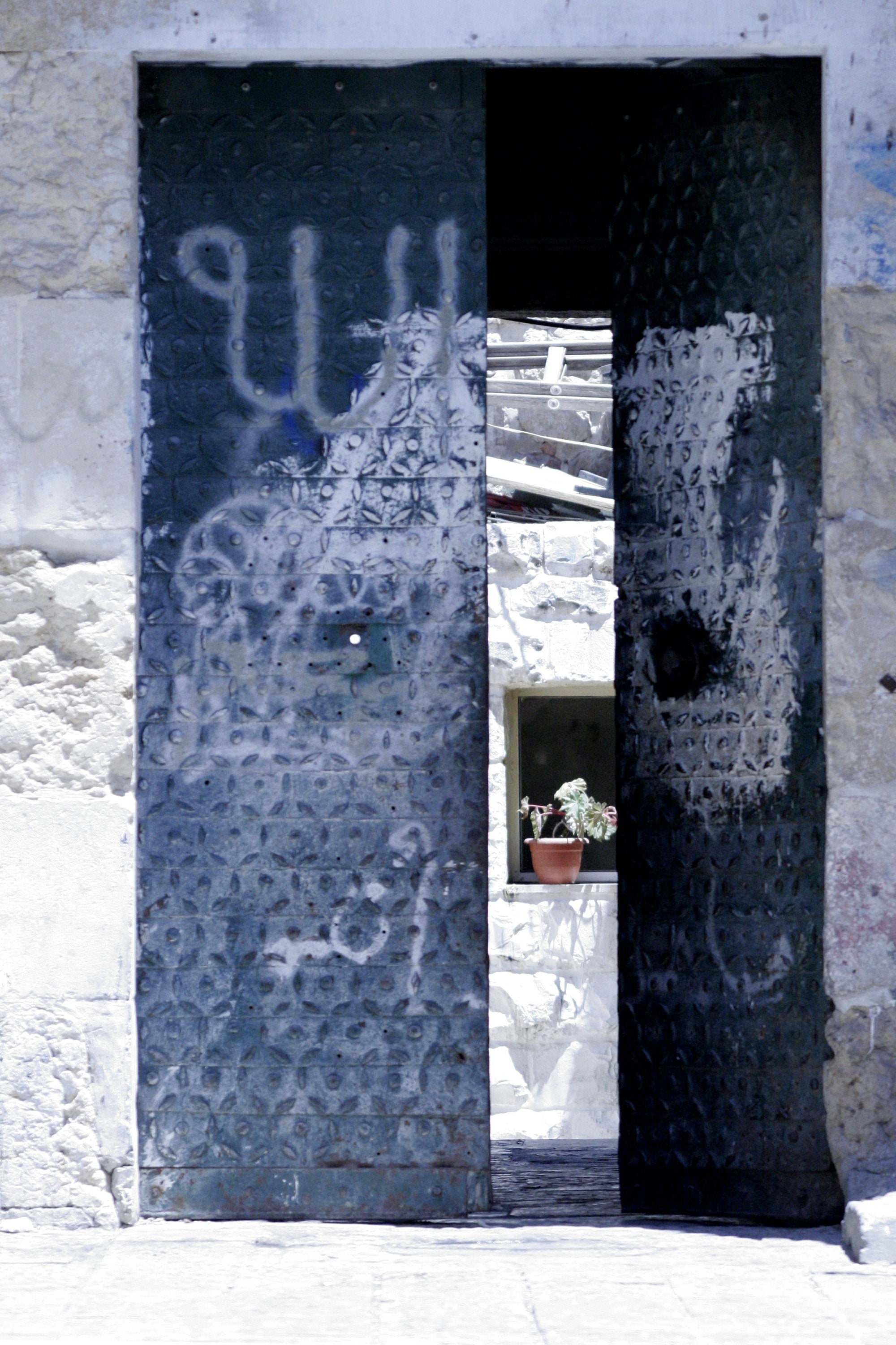 Jerusalem Old City Wall Art: Plant Behind Historic Doors, Matted Travel Photography Print