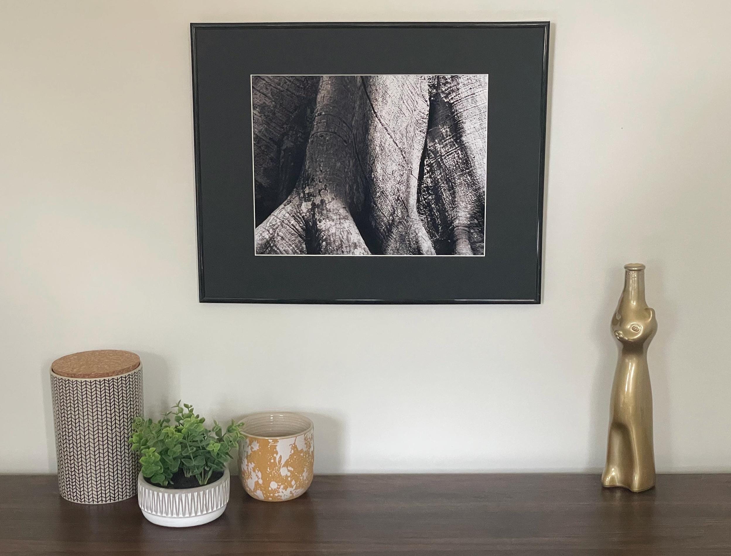 Ceiba Tree Photography Print: Tikal Guatemala UNESCO World Heritage, Black and White Matted Art