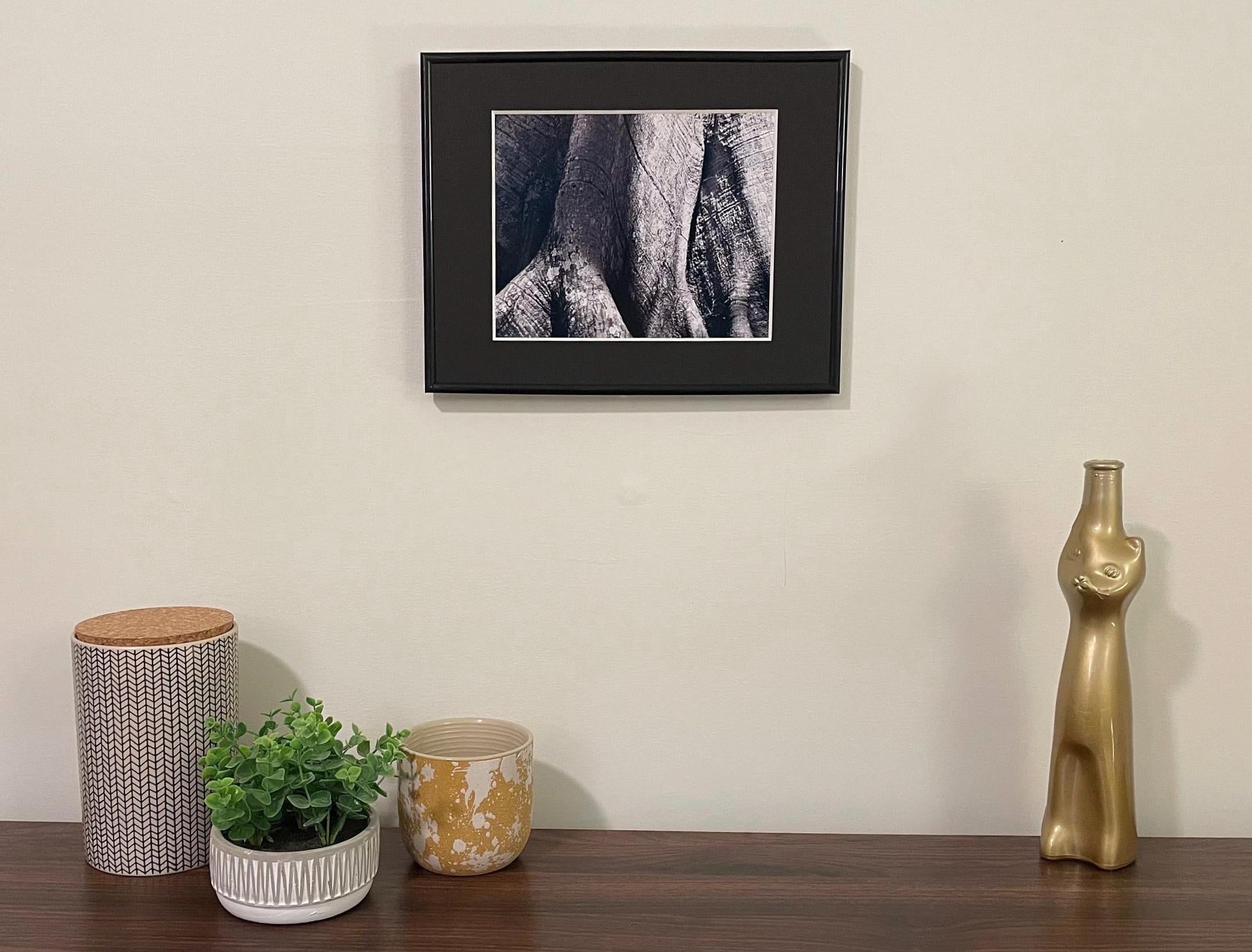 Ceiba Tree Photography Print: Tikal Guatemala UNESCO World Heritage, Black and White Matted Art