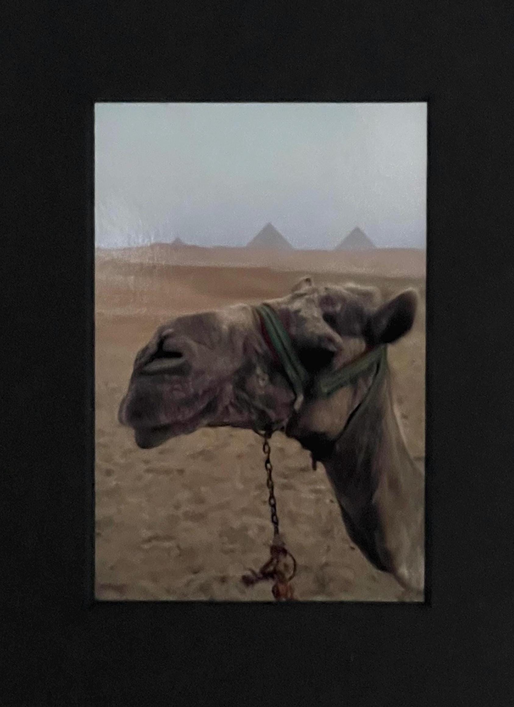 Camel and Pyramids Photography Print: Giza Egypt Travel Art, Matted Animal Nature Decor