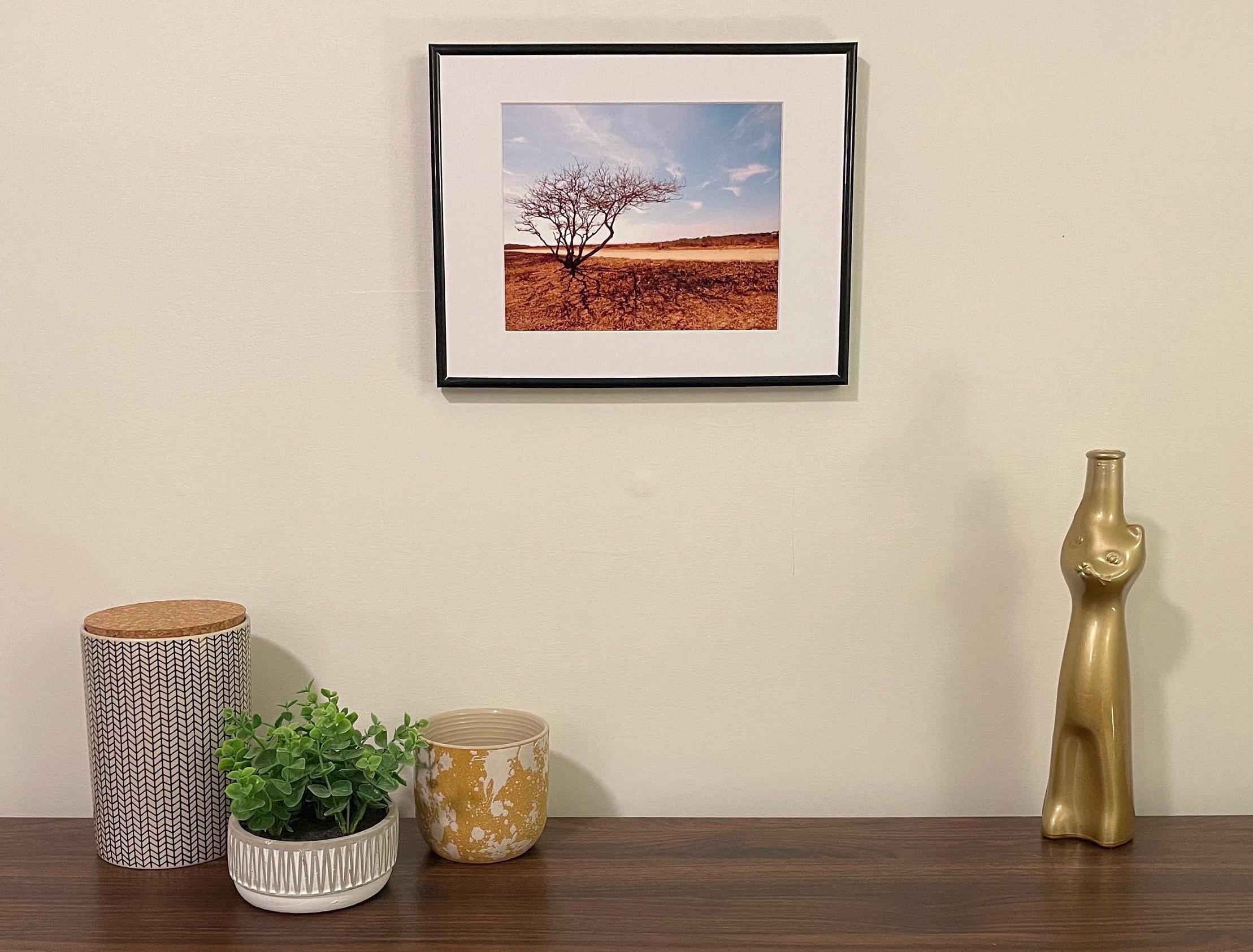 Lone Tree Photography Print: Chappaquiddick Island Massachusetts, Matted Nature Wall Art Decor