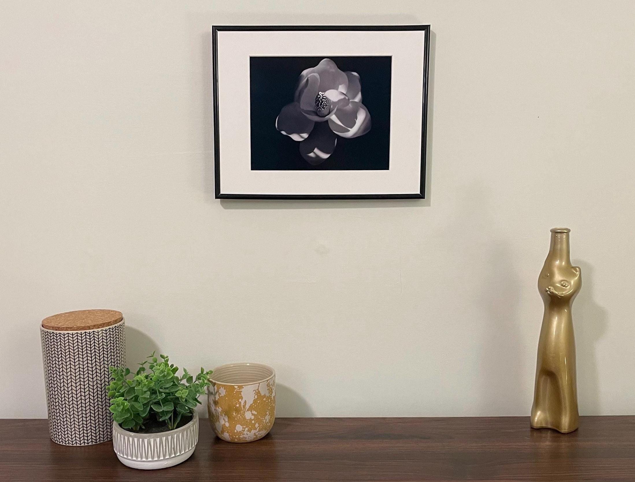 Magnolia Flower Photography: Black and White Botanical Photography, Nature Print (Copy)