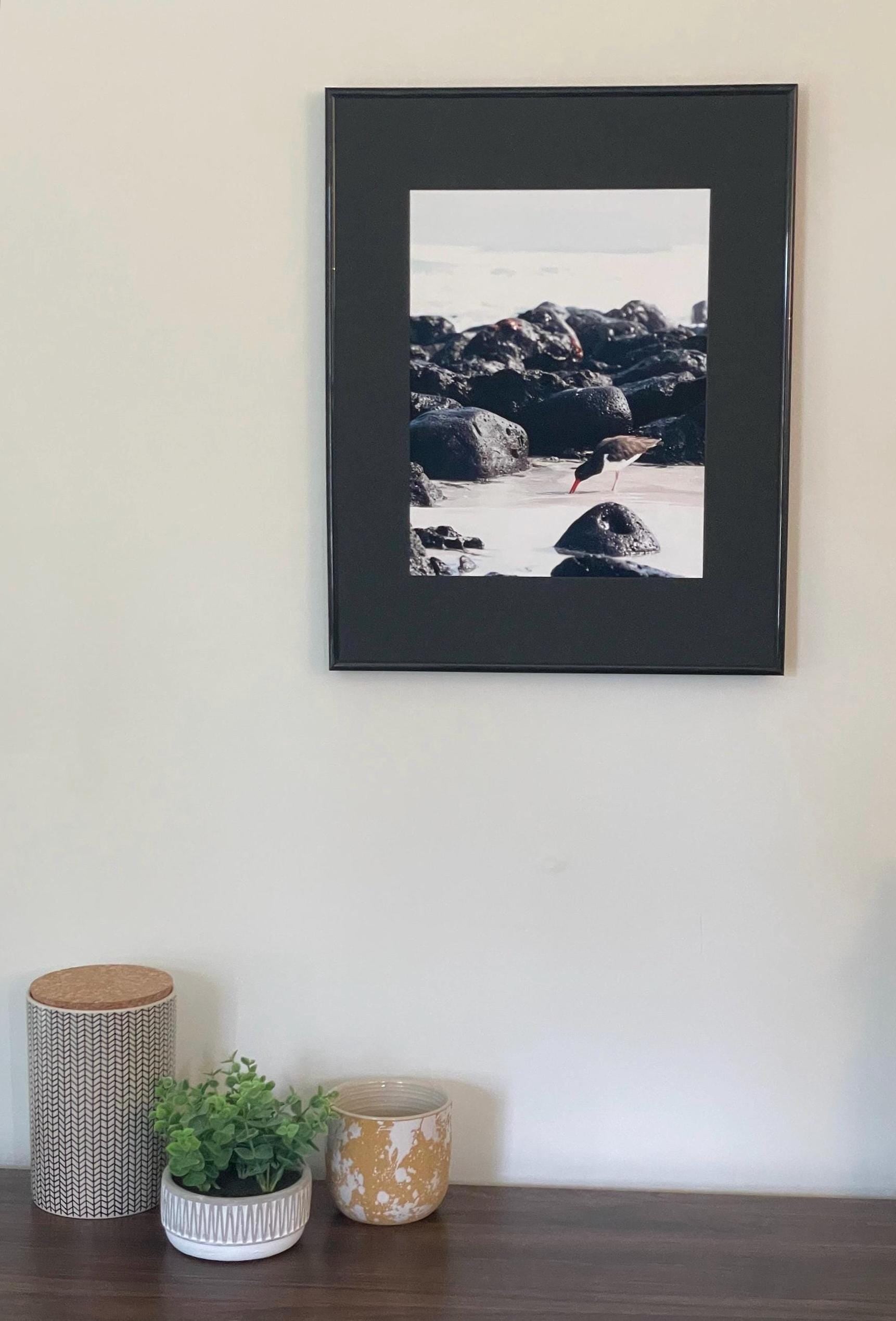 Oystercatcher on the Beach: Galapagos Bird Photography, UNESCO Heritage Nature Matted Wall Art
