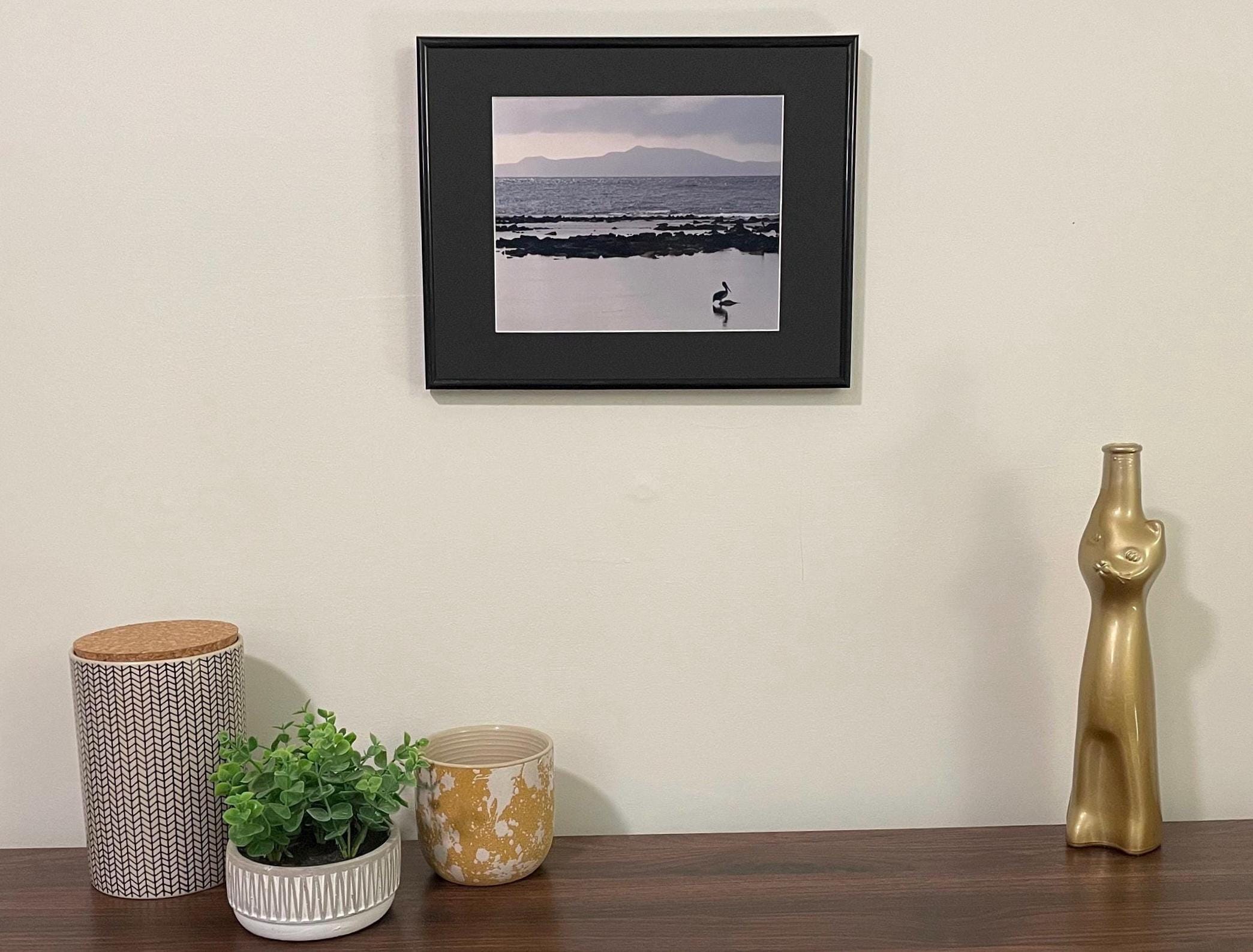 Galapagos Pelican Photography Print: Finch Bay Nature Wall Art, Matted Wildlife Photo Decor