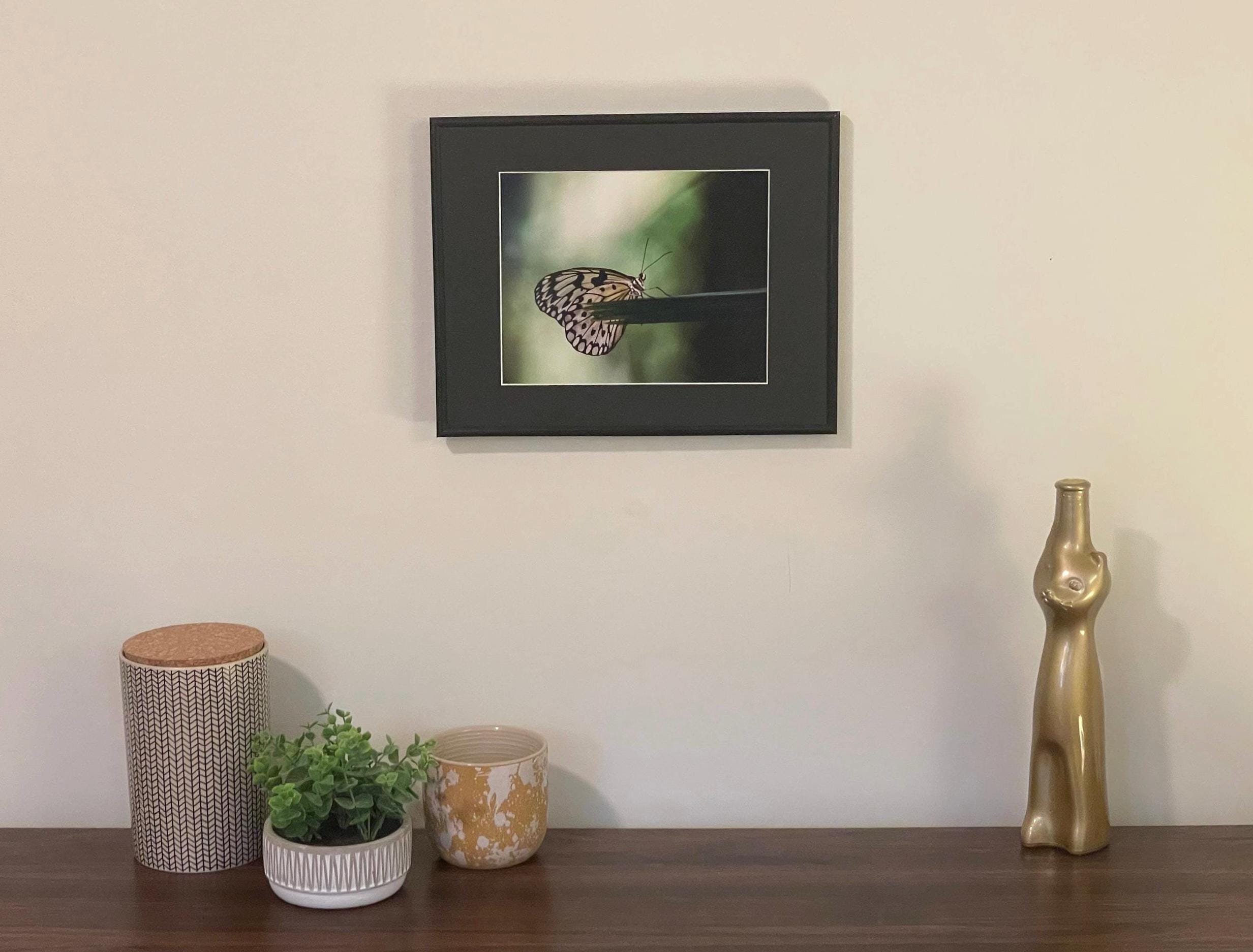 Butterfly Photography Print: Green Bokeh Nature Artwork, San Diego Wildlife Matted Art Print
