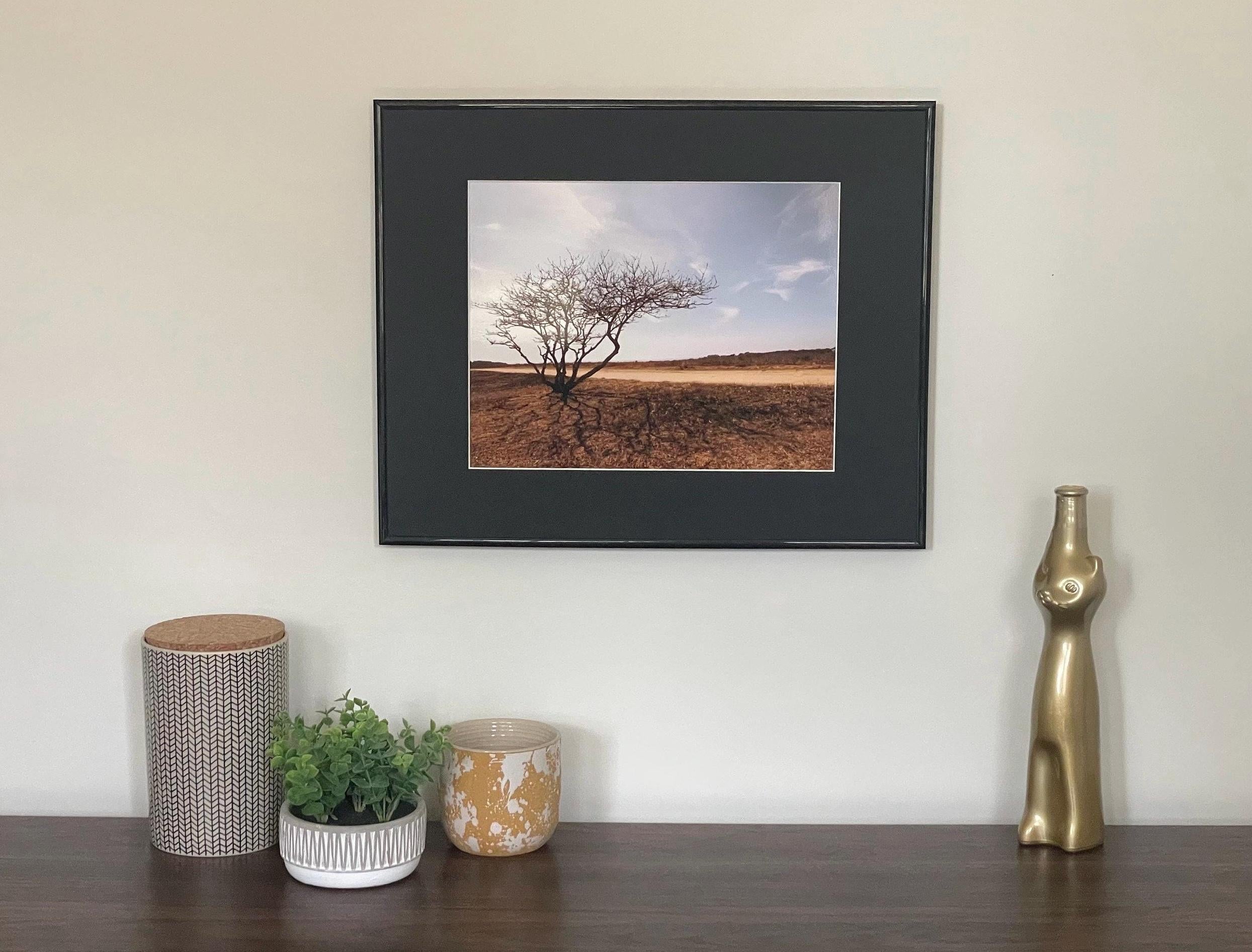 Lone Tree Photography Print: Chappaquiddick Island Massachusetts, Matted Nature Wall Art Decor