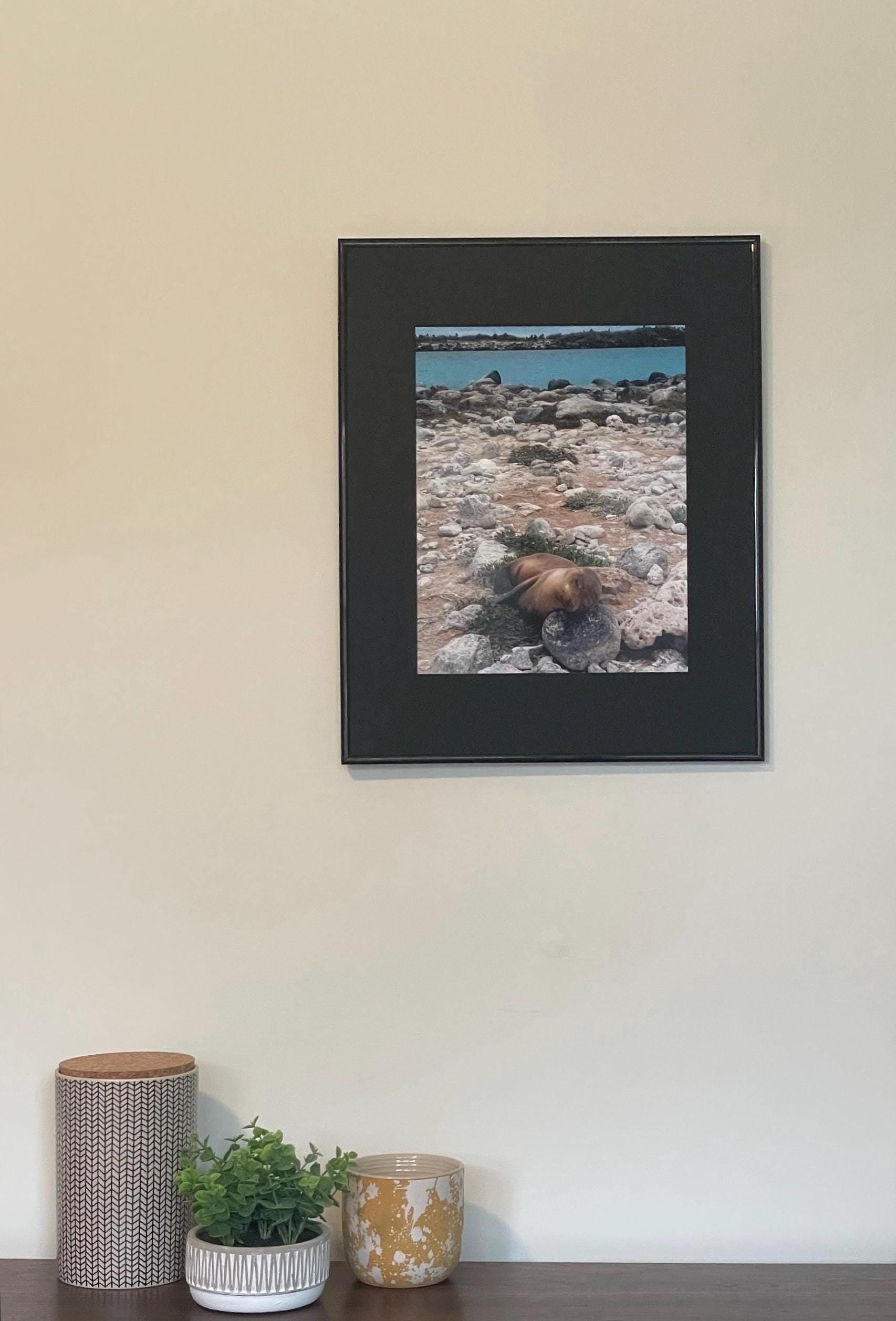 Sleeping Sea Lion Pup: Galapagos Wildlife Photography Print, UNESCO Heritage Nature Wall Art