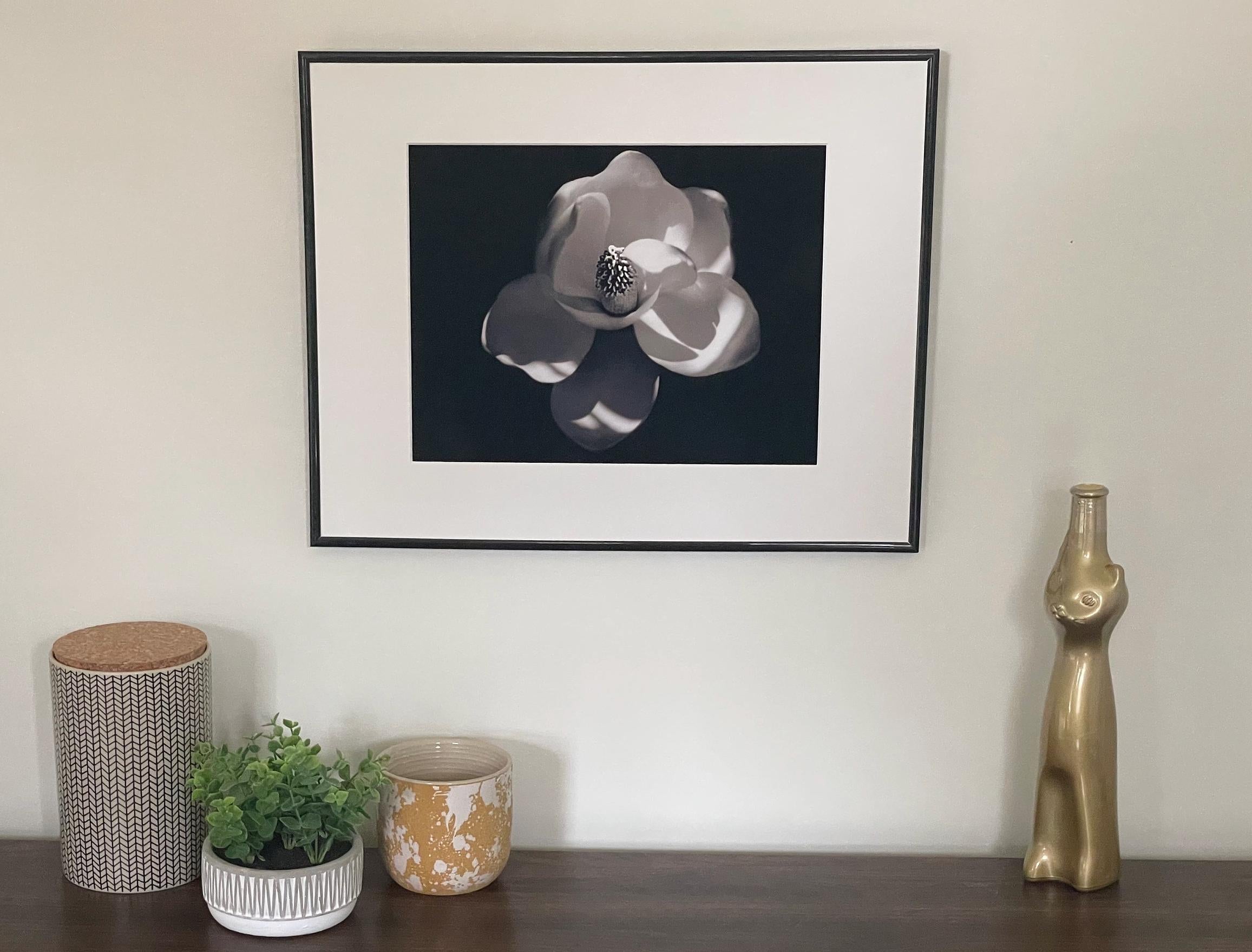 Magnolia Flower Photography: Black and White Botanical Photography, Nature Print (Copy)