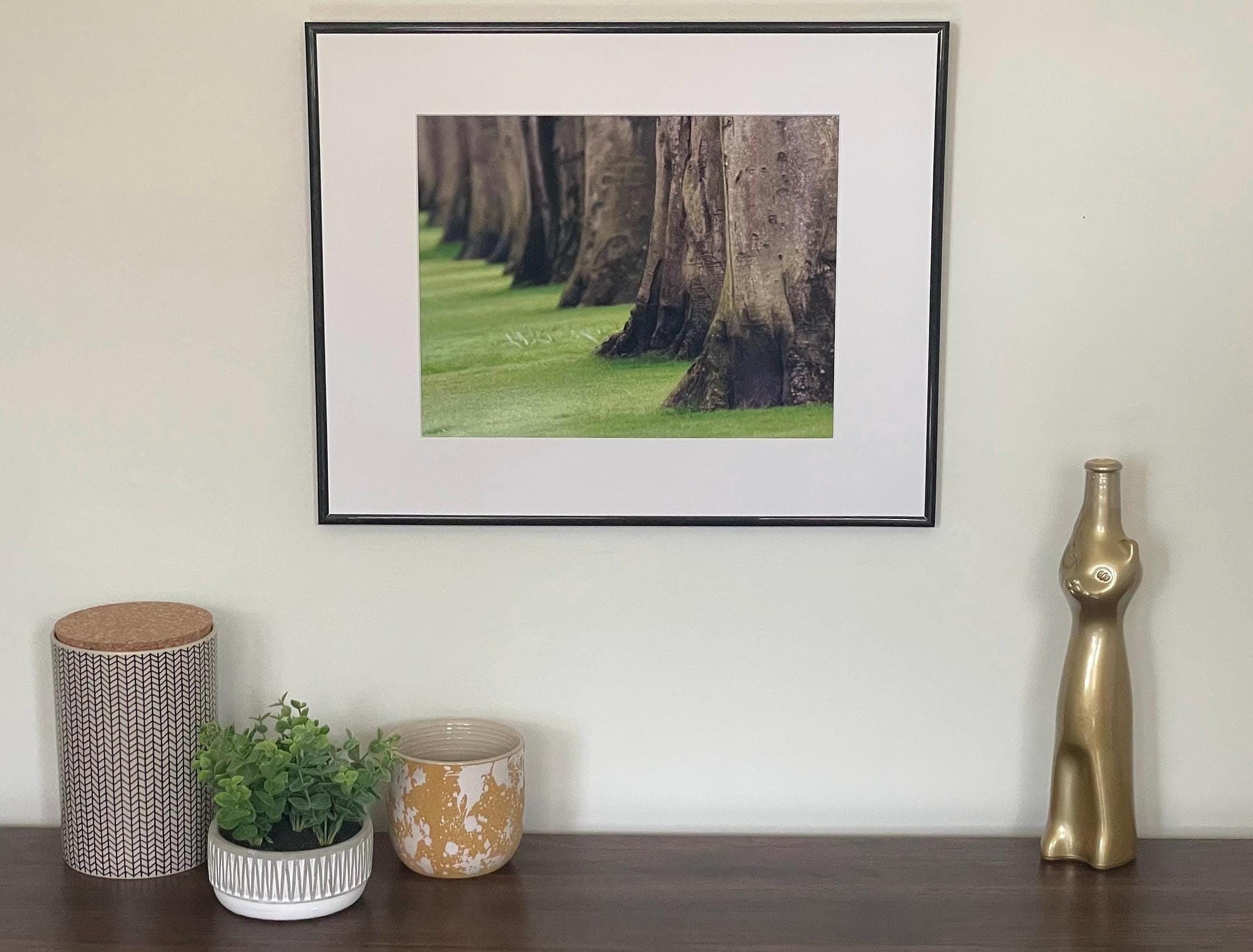 Tree Trunk Photography Print: Keukenhof Gardens Netherlands, Matted Green Nature Wall Art Decor