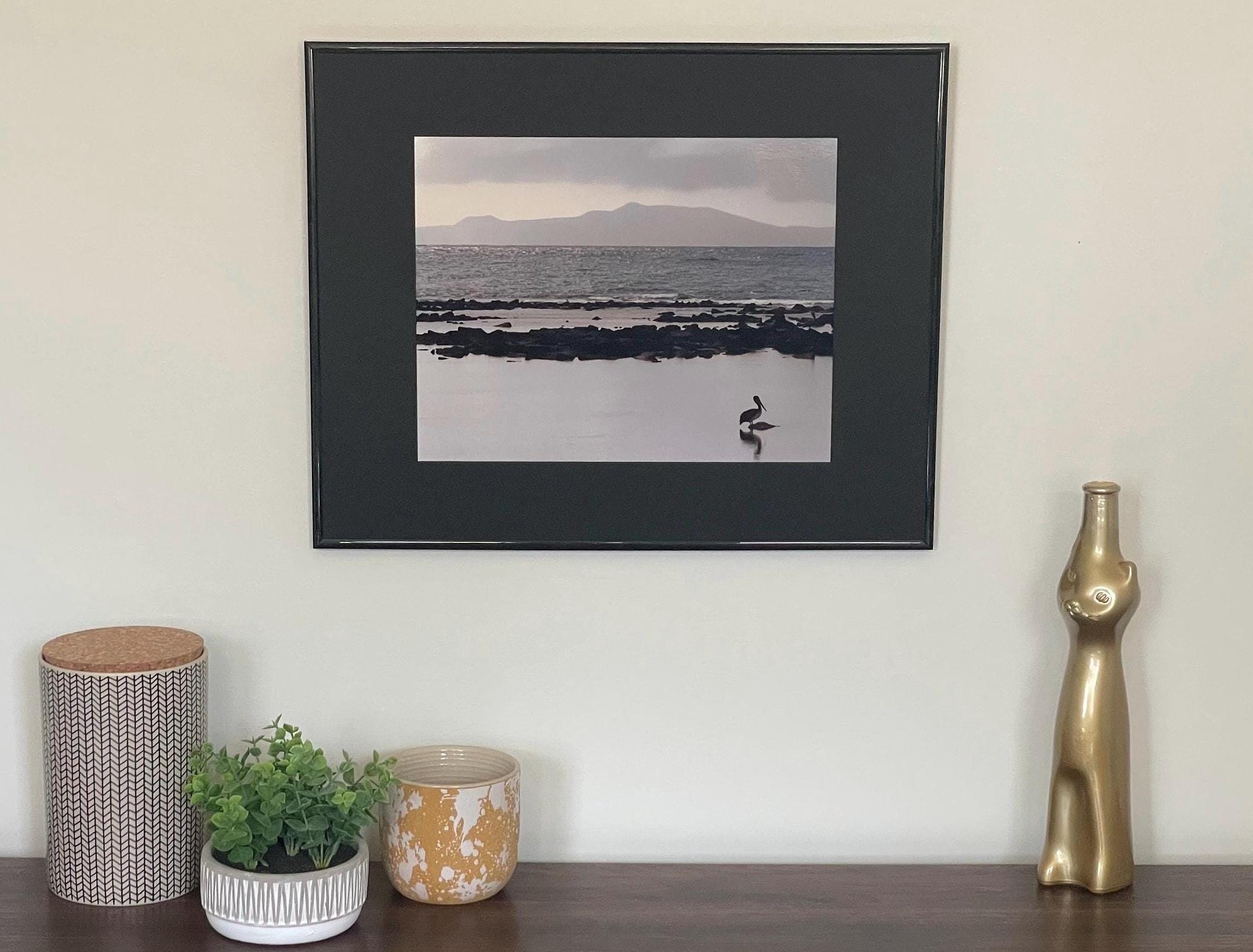 Galapagos Pelican Photography Print: Finch Bay Nature Wall Art, Matted Wildlife Photo Decor