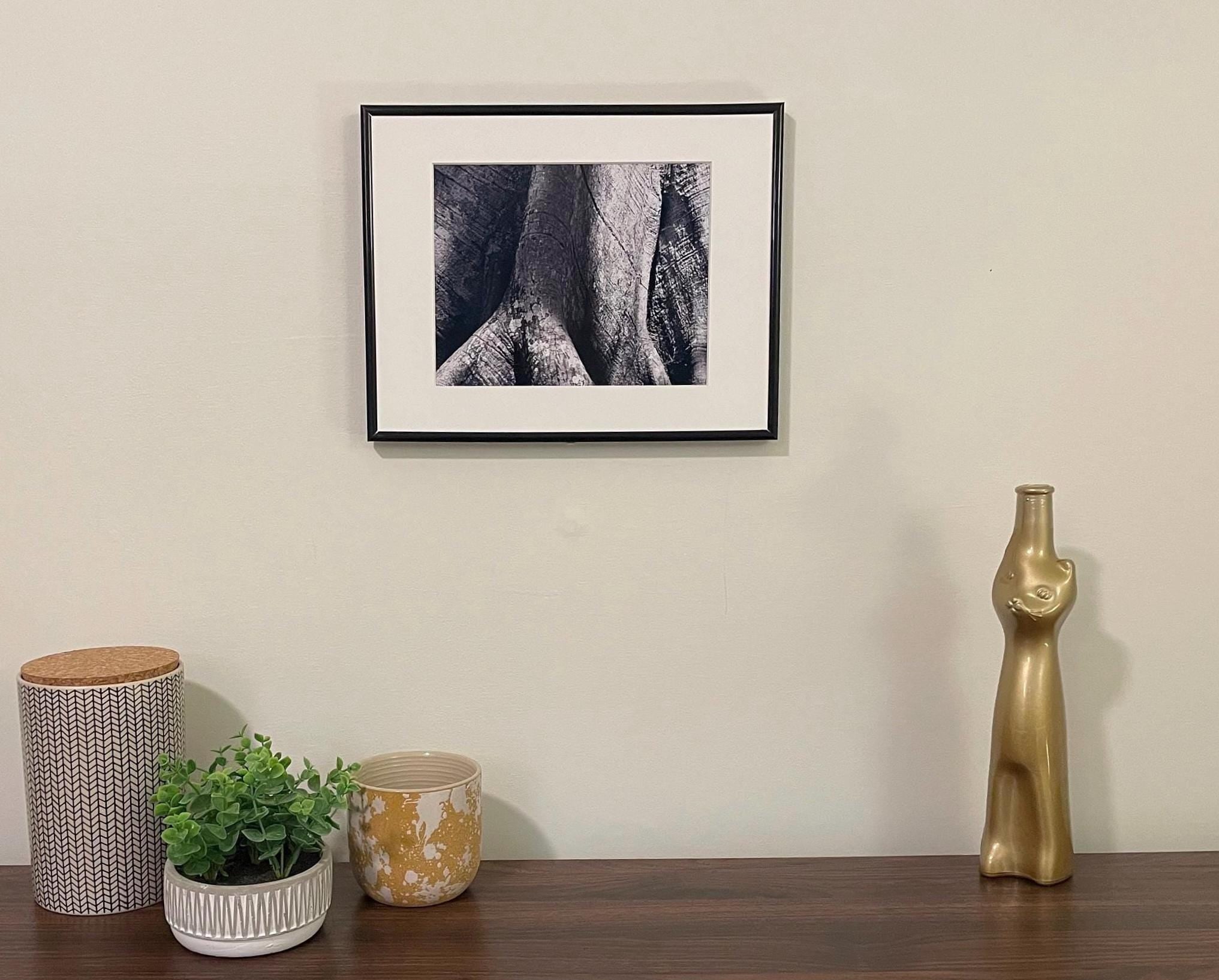 Ceiba Tree Photography Print: Tikal Guatemala UNESCO World Heritage, Black and White Matted Art