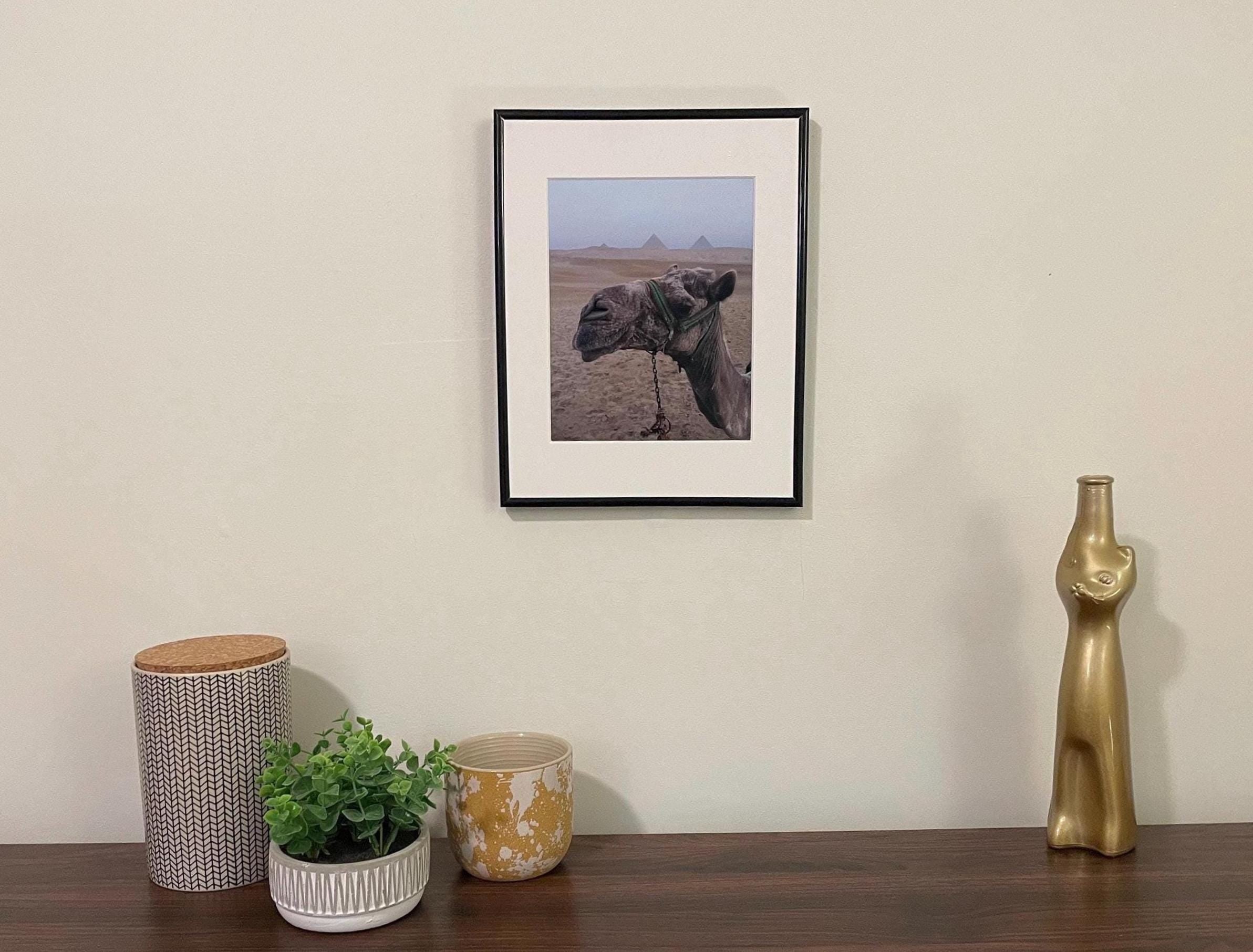 Camel and Pyramids Photography Print: Giza Egypt Travel Art, Matted Animal Nature Decor