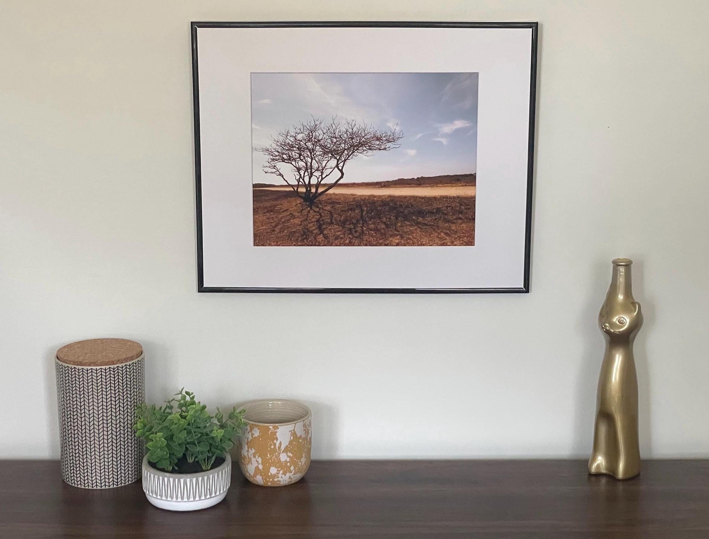 Lone Tree Photography Print: Chappaquiddick Island Massachusetts, Matted Nature Wall Art Decor