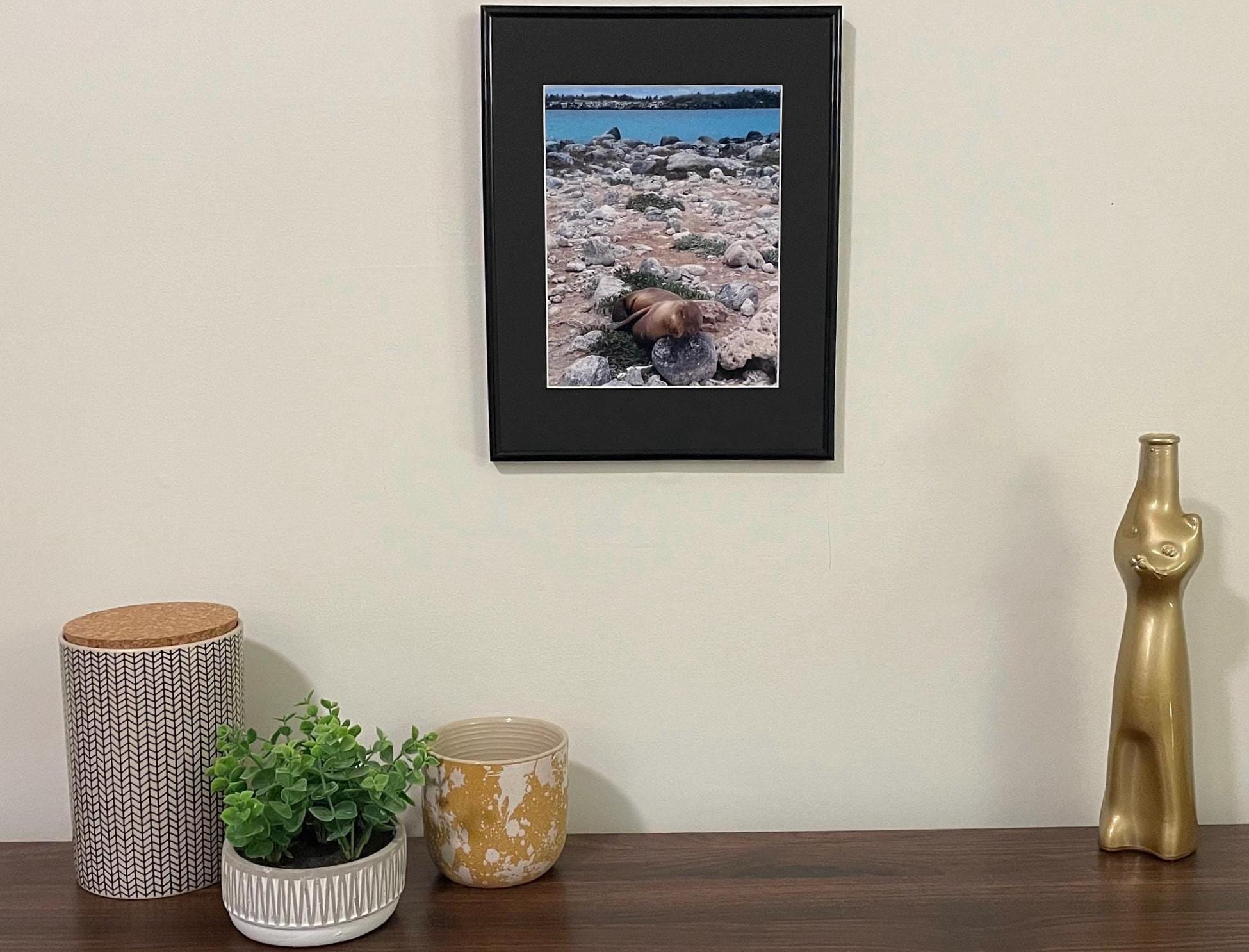 Sleeping Sea Lion Pup: Galapagos Wildlife Photography Print, UNESCO Heritage Nature Wall Art