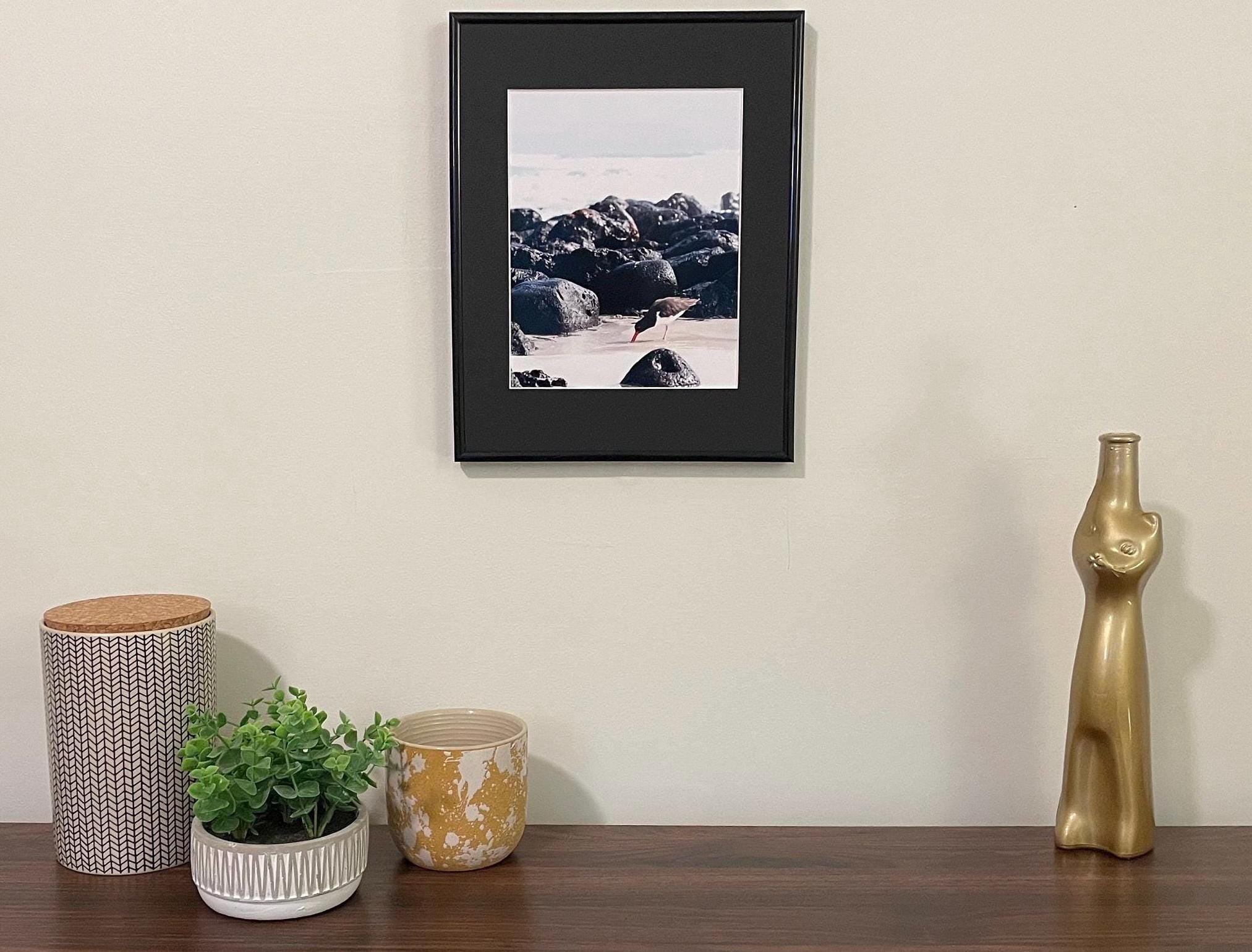 Oystercatcher on the Beach: Galapagos Bird Photography, UNESCO Heritage Nature Matted Wall Art