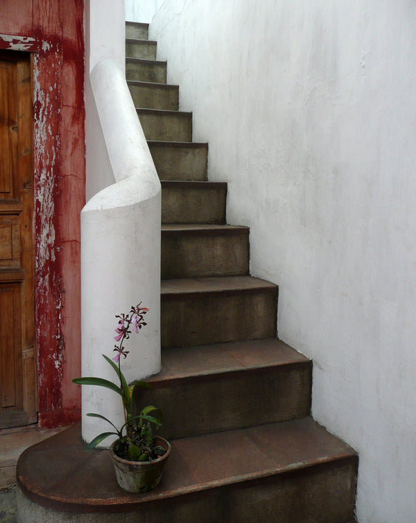 Antigua Guatemala Photography Print: Elegant White Staircase and Orchid, Matted Wall Art Decor