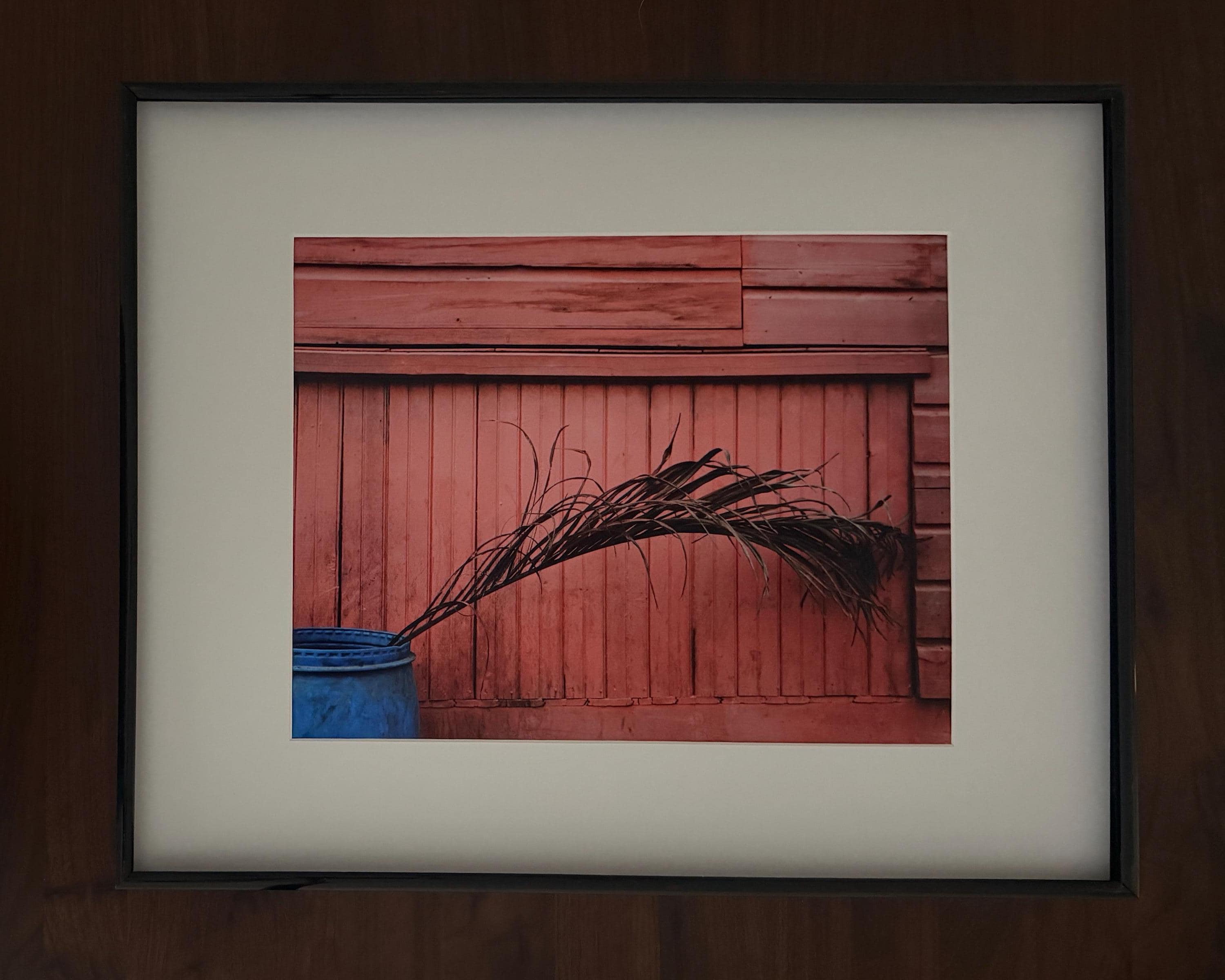 Roatan Photography Print: Minimalist Blue Planter and Palm Leaf Wall Decor Art
