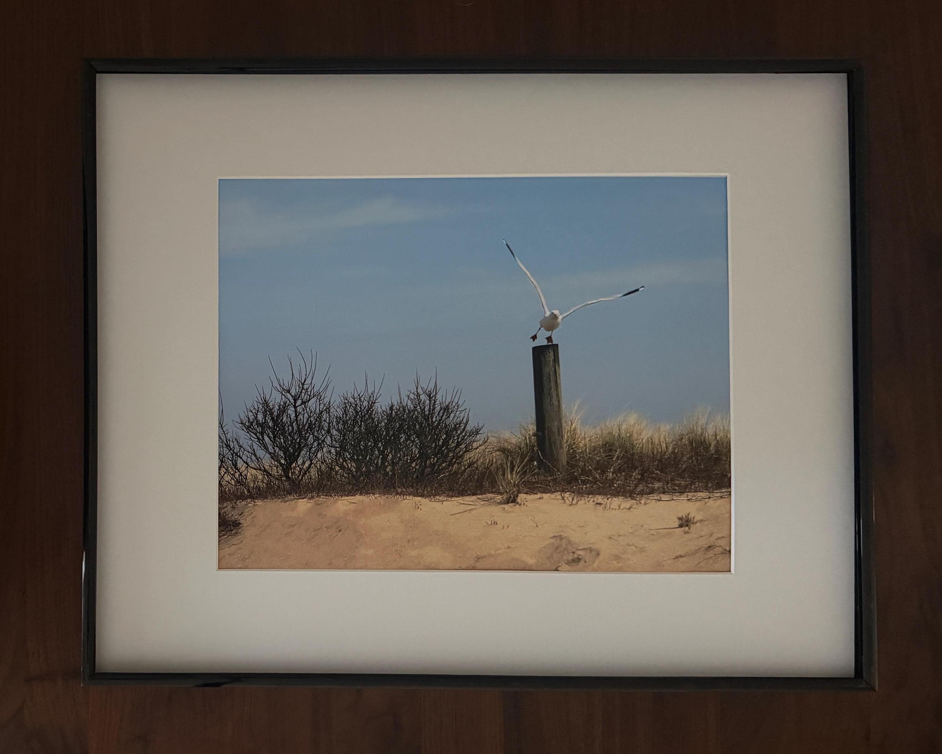 Coastal Seagull Wall Art: Serene Martha's Vineyard Beach Landscape Print