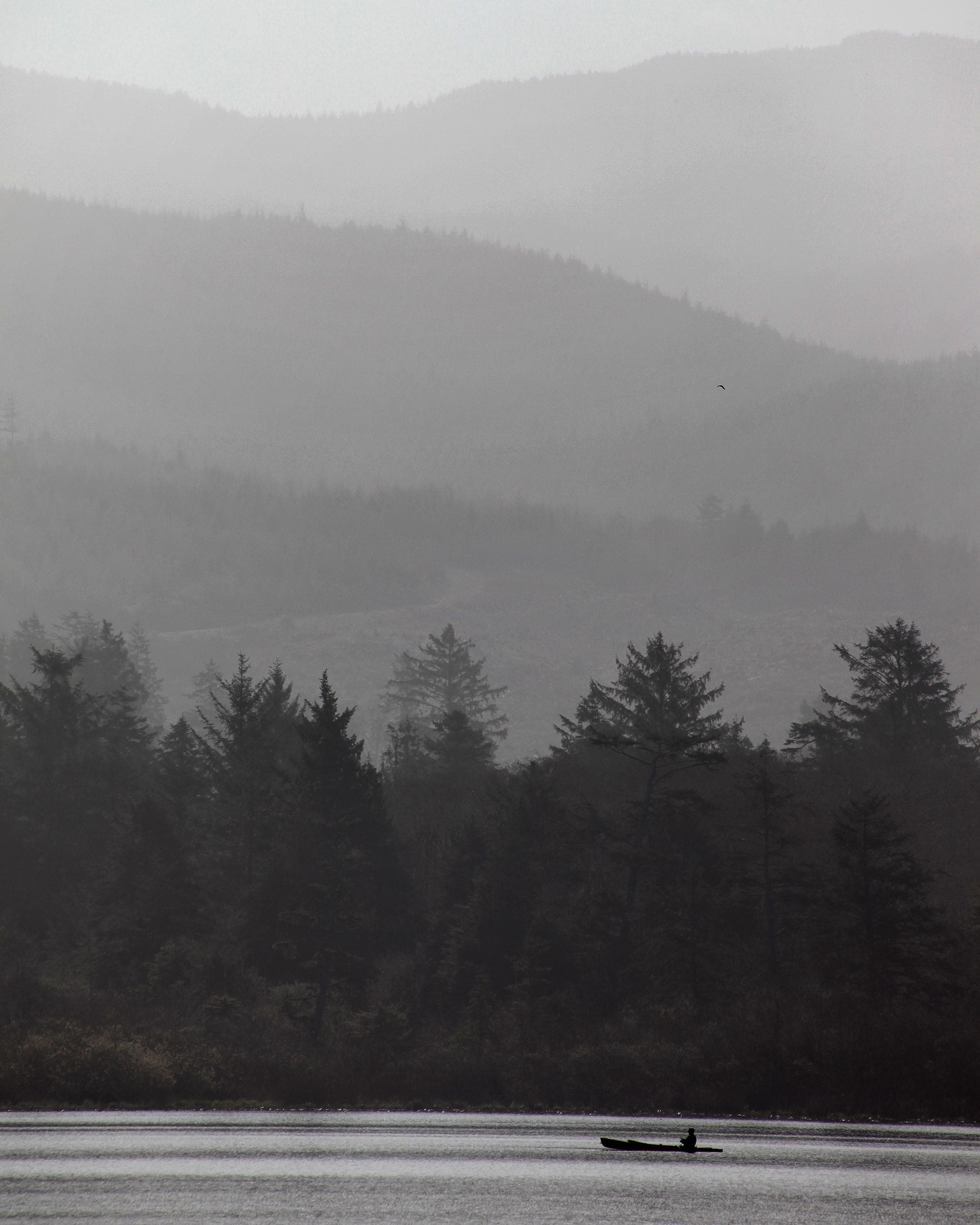 Oregon Misty Mountain Greeting Card: Pacific Northwest Landscape Photography