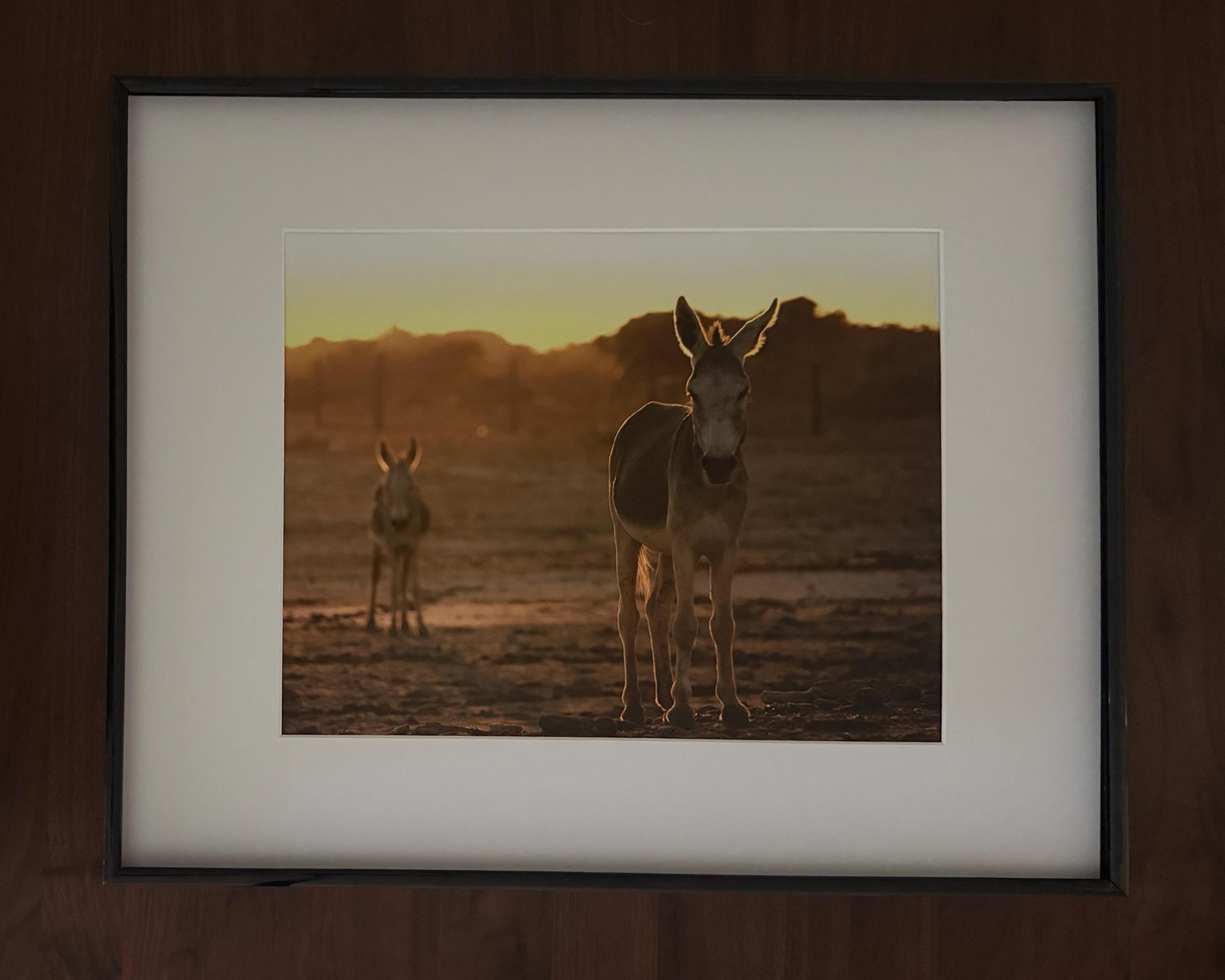 Sunset Donkey Wall Art: Rustic Western Landscape Photography Print