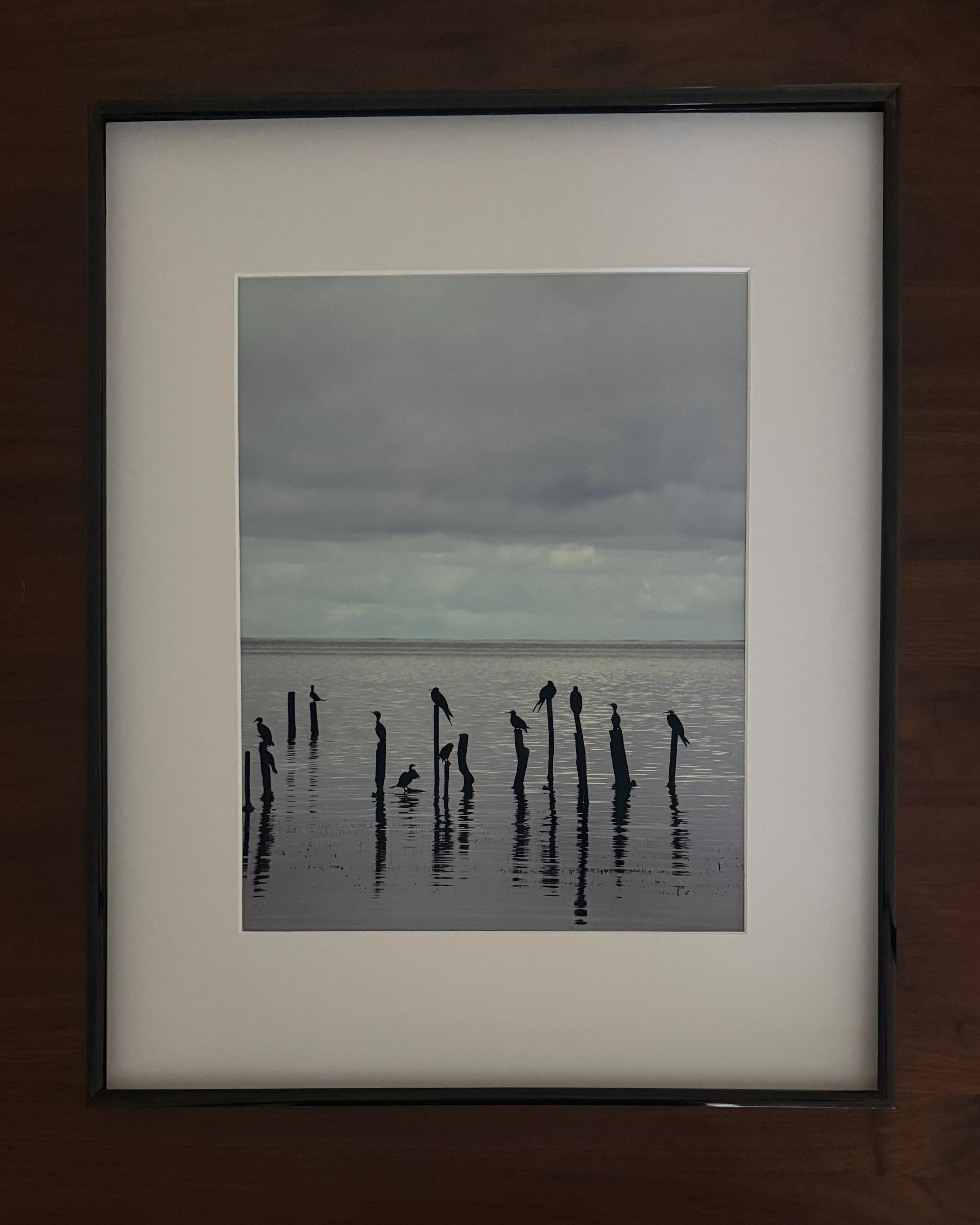 Belize Coastal Wall Art: Minimalist Birds on Pilings Ocean Photography Print