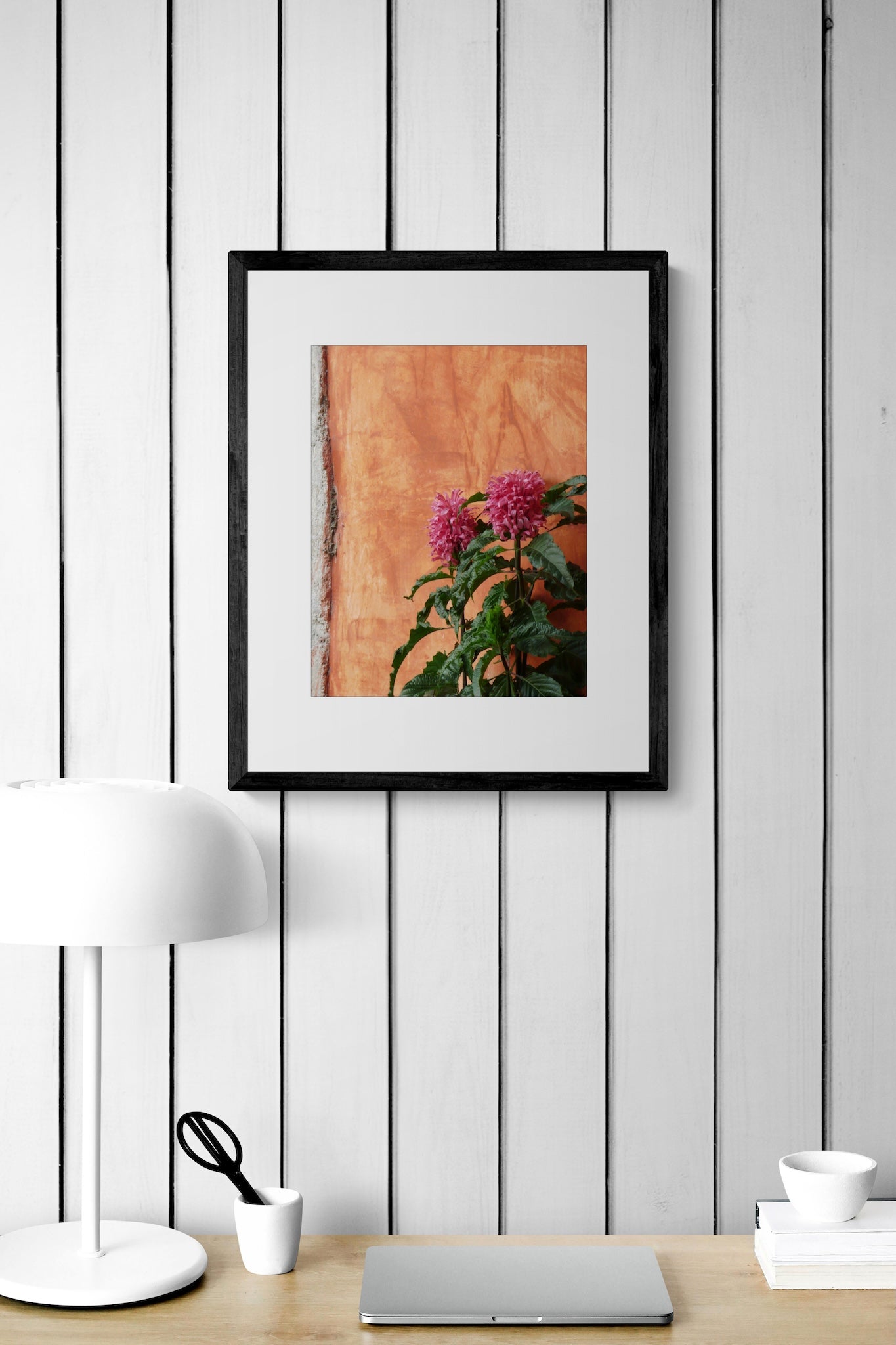 Pink Justicia Flower Photography Print: Antigua Guatemala Vibrant Orange Wall Decor