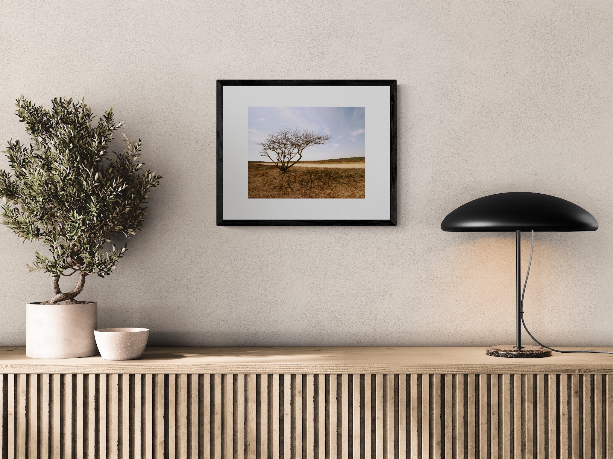 Lone Tree Photography Print: Chappaquiddick Island Massachusetts, Matted Nature Wall Art Decor