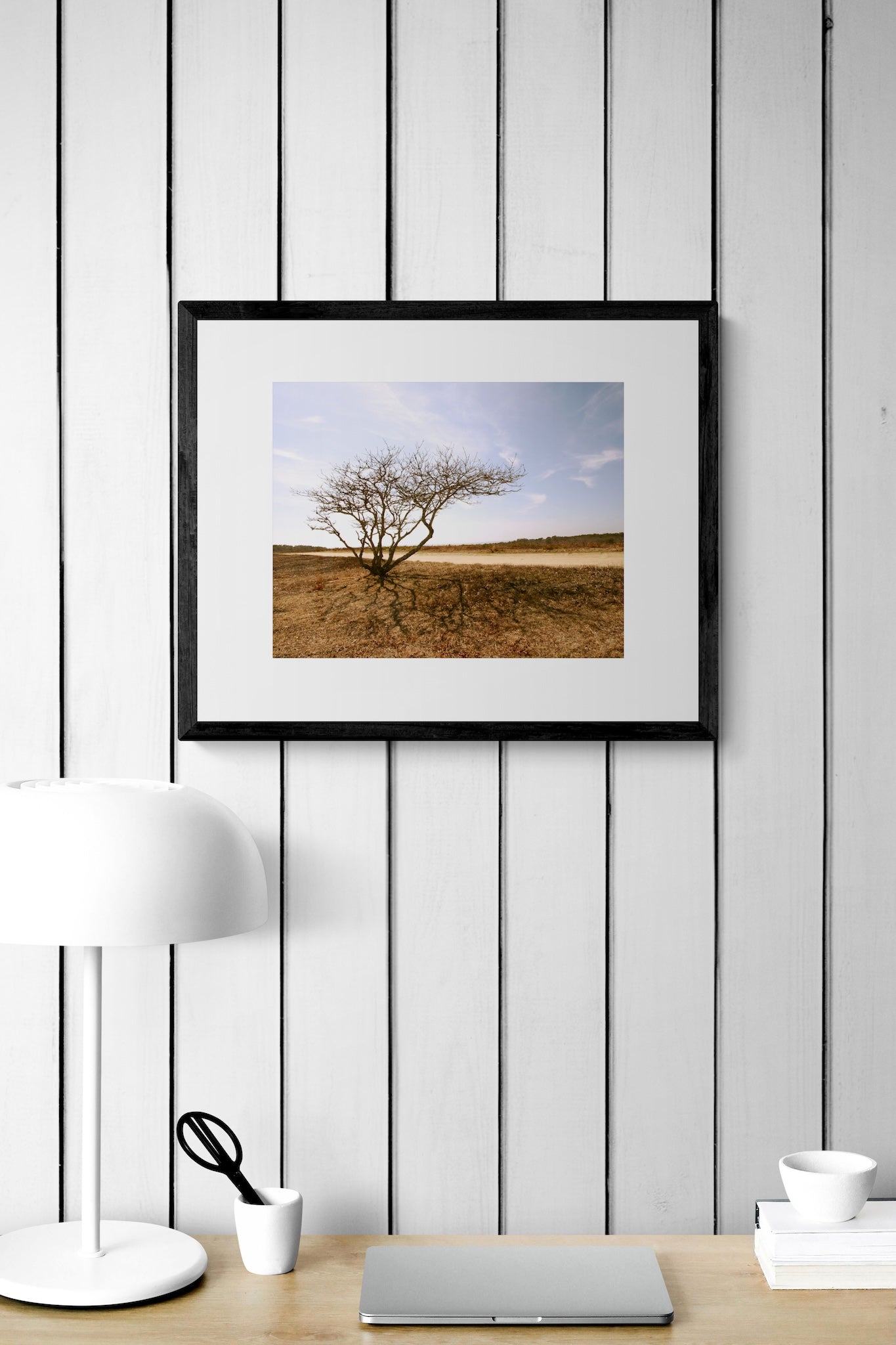 Lone Tree Photography Print: Chappaquiddick Island Massachusetts, Matted Nature Wall Art Decor