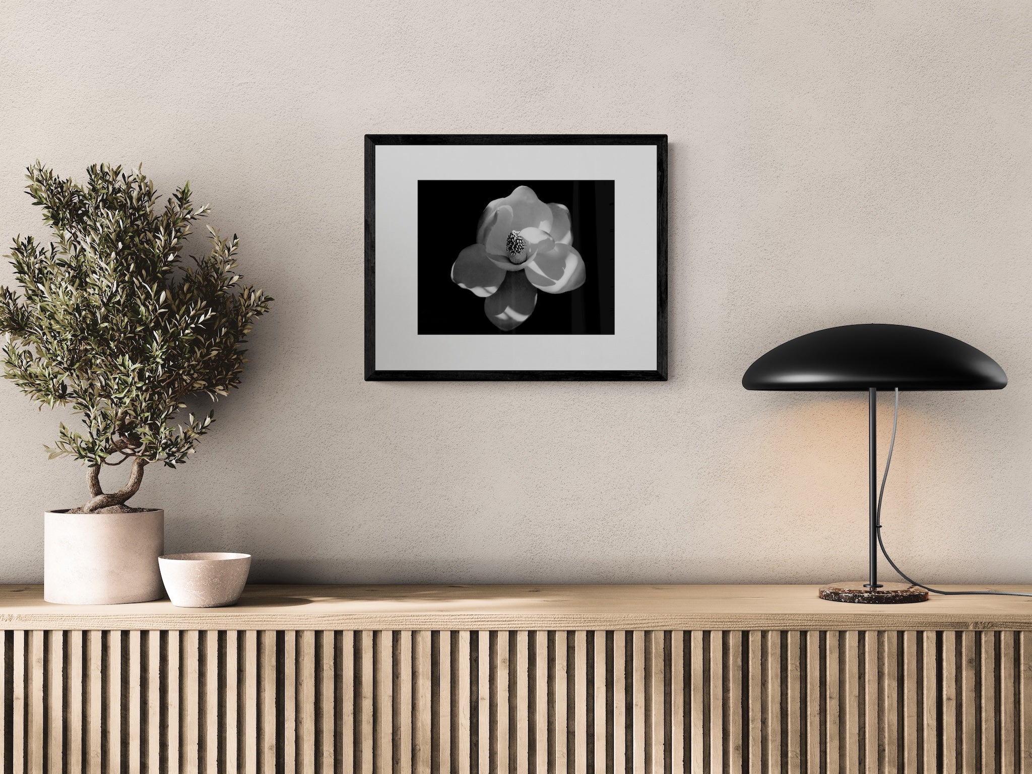Magnolia Flower Photography: Black and White Botanical Photography, Nature Print