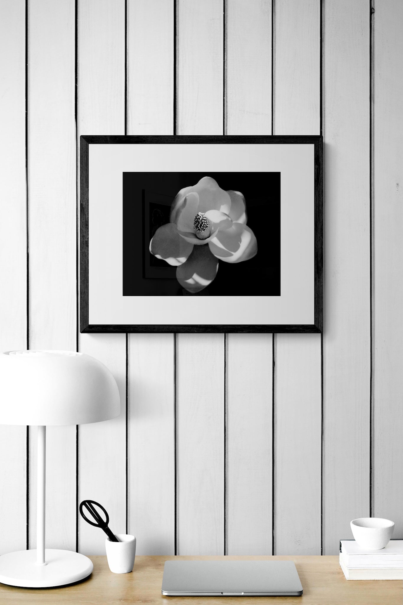 Magnolia Flower Photography: Black and White Botanical Photography, Nature Print (Copy)