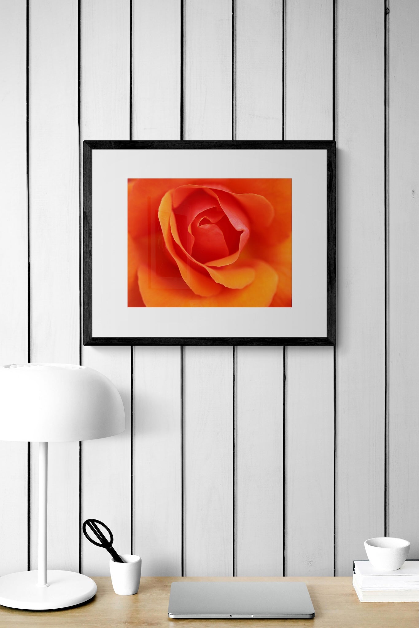 Copenhagen Orange Rose Wall Art: Vibrant Floral Botanical Photography Print