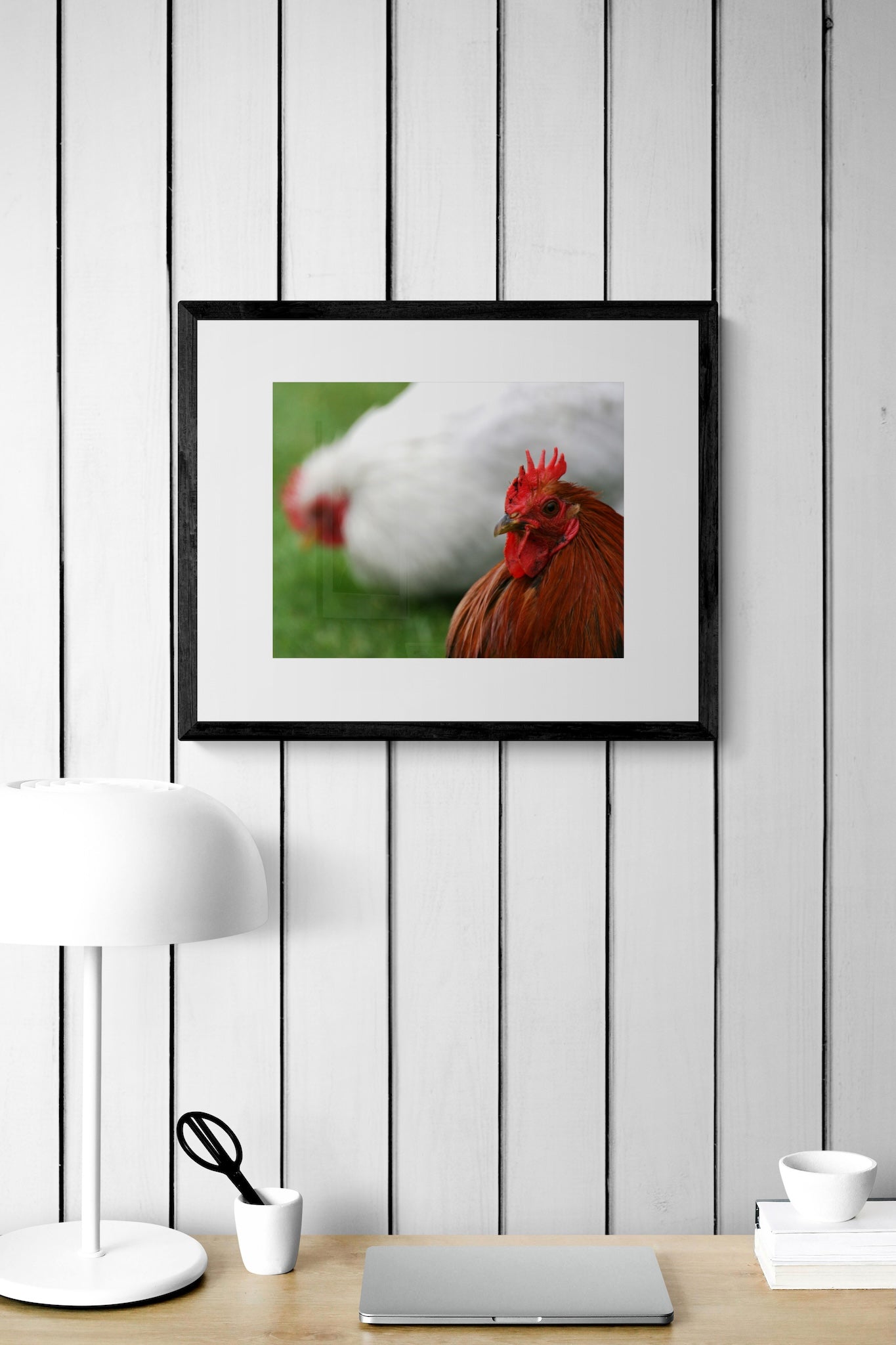 Rooster Photography Print: Keukenhof Gardens Netherlands, Matted Bokeh Animal Wall Art Decor