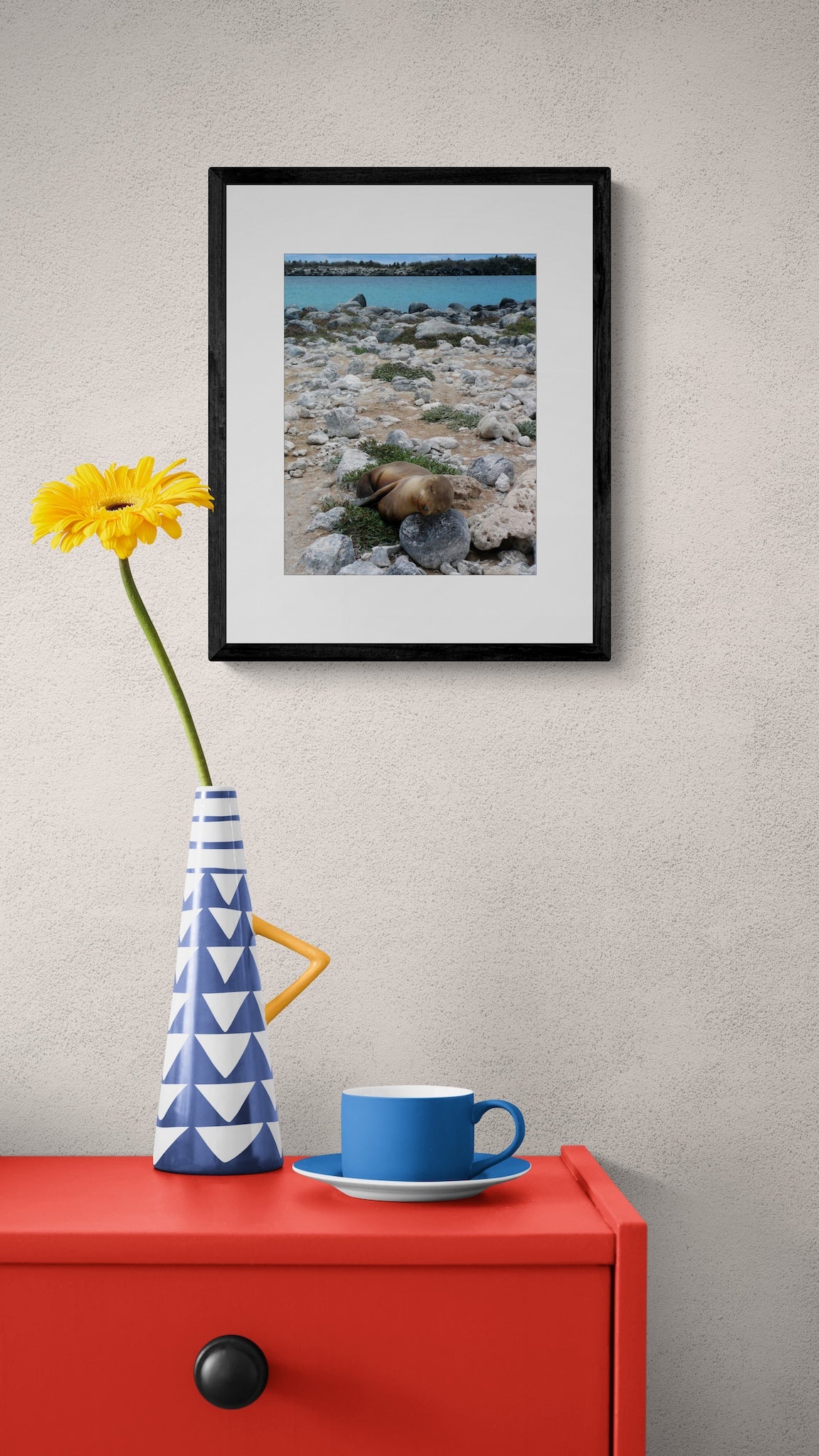 Sleeping Sea Lion Pup: Galapagos Wildlife Photography Print, UNESCO Heritage Nature Wall Art